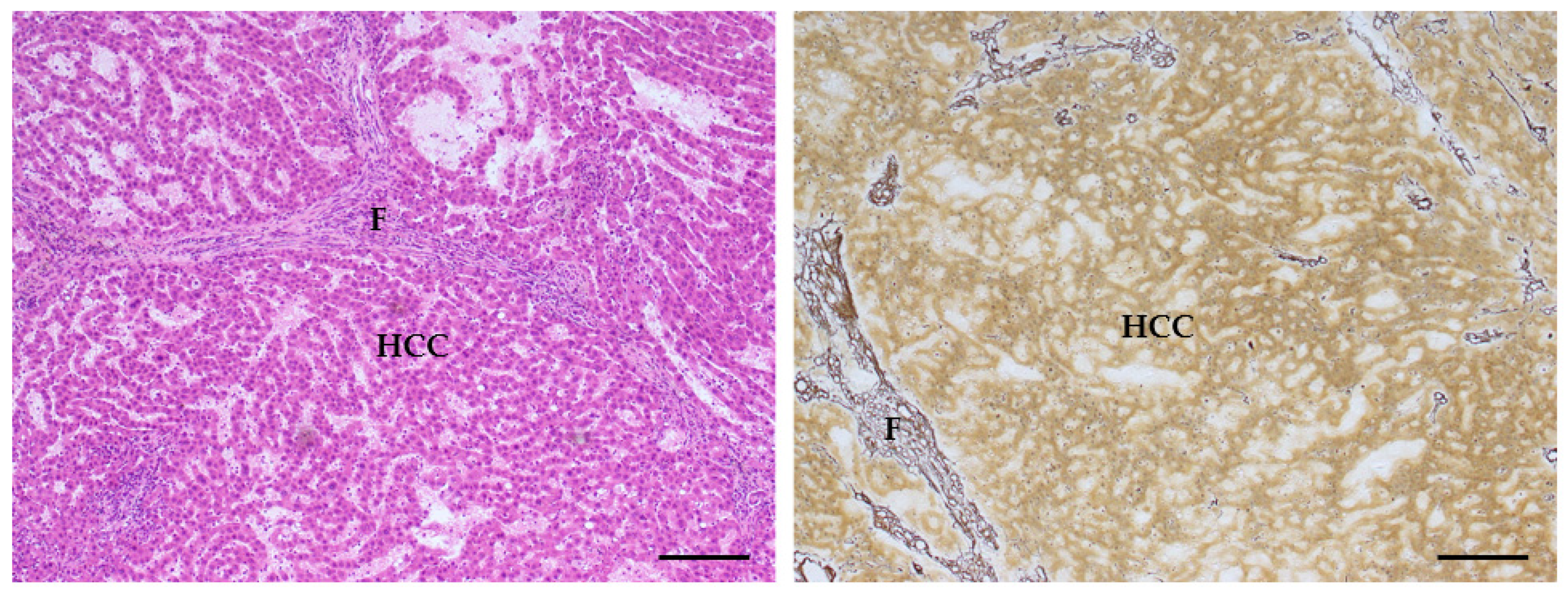 Toxins 14 00325 g009