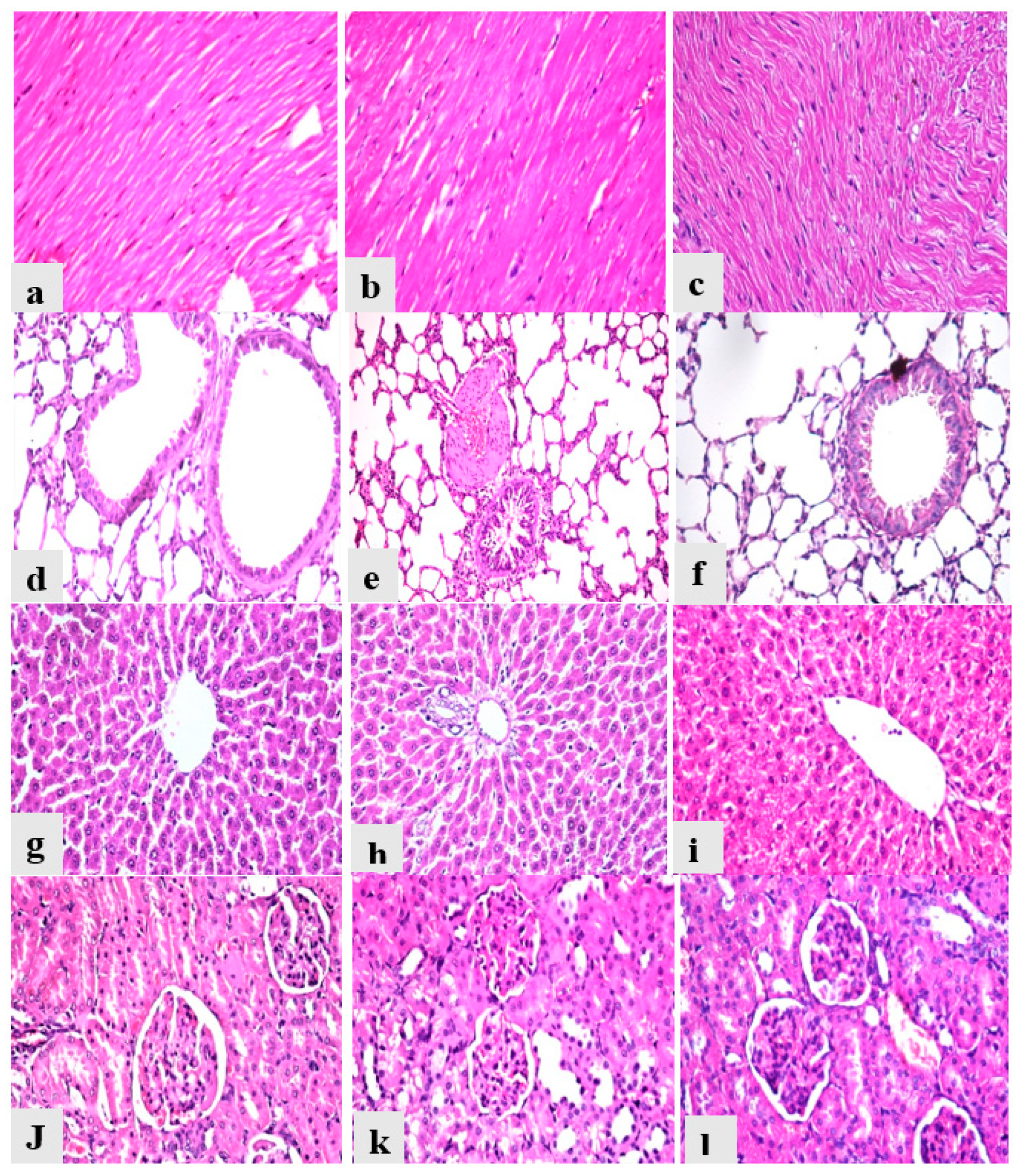 Toxins 14 00327 g006