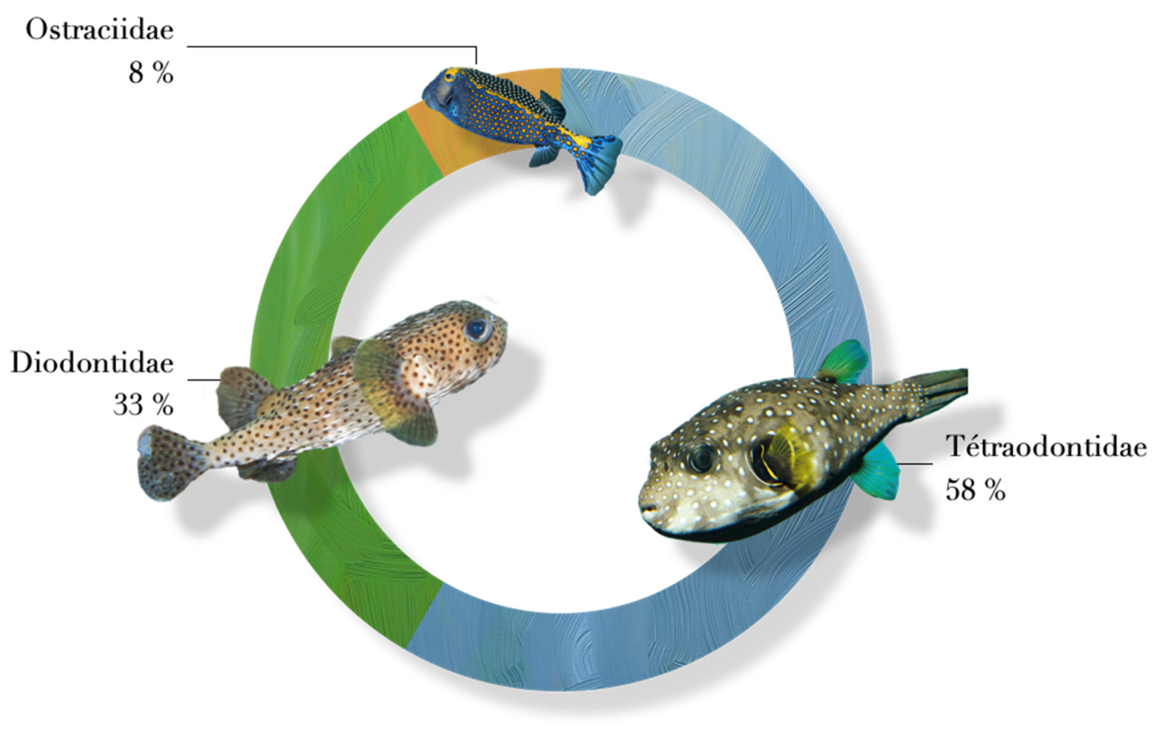 Toxins 14 00351 g004