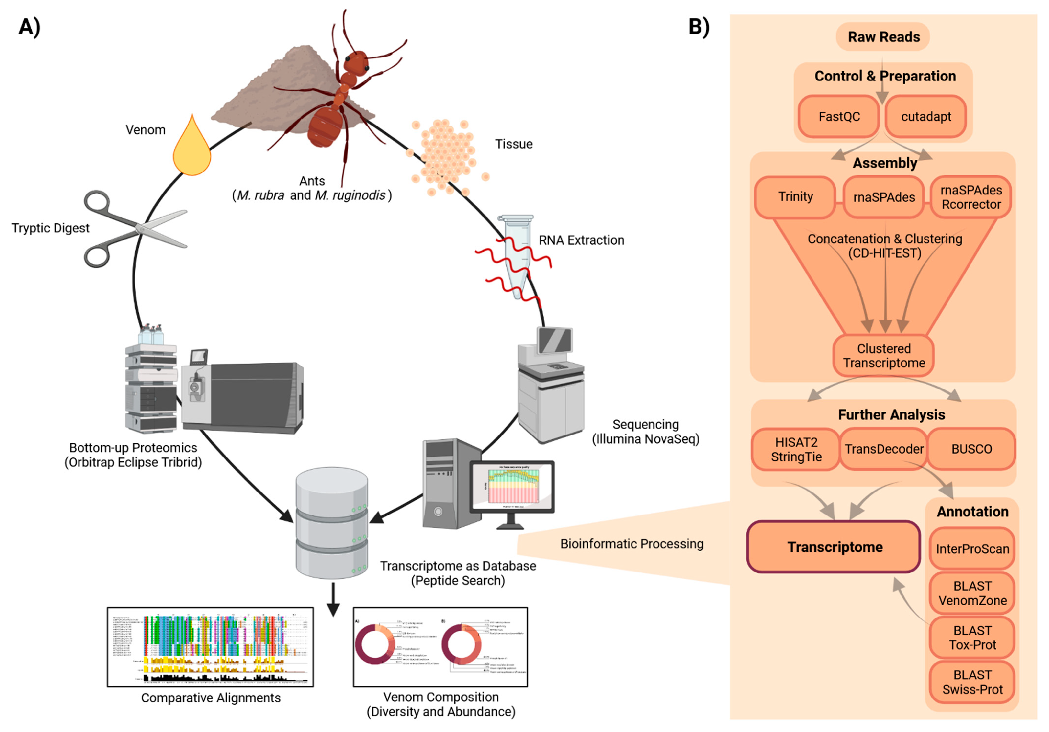 Toxins 14 00358 g001