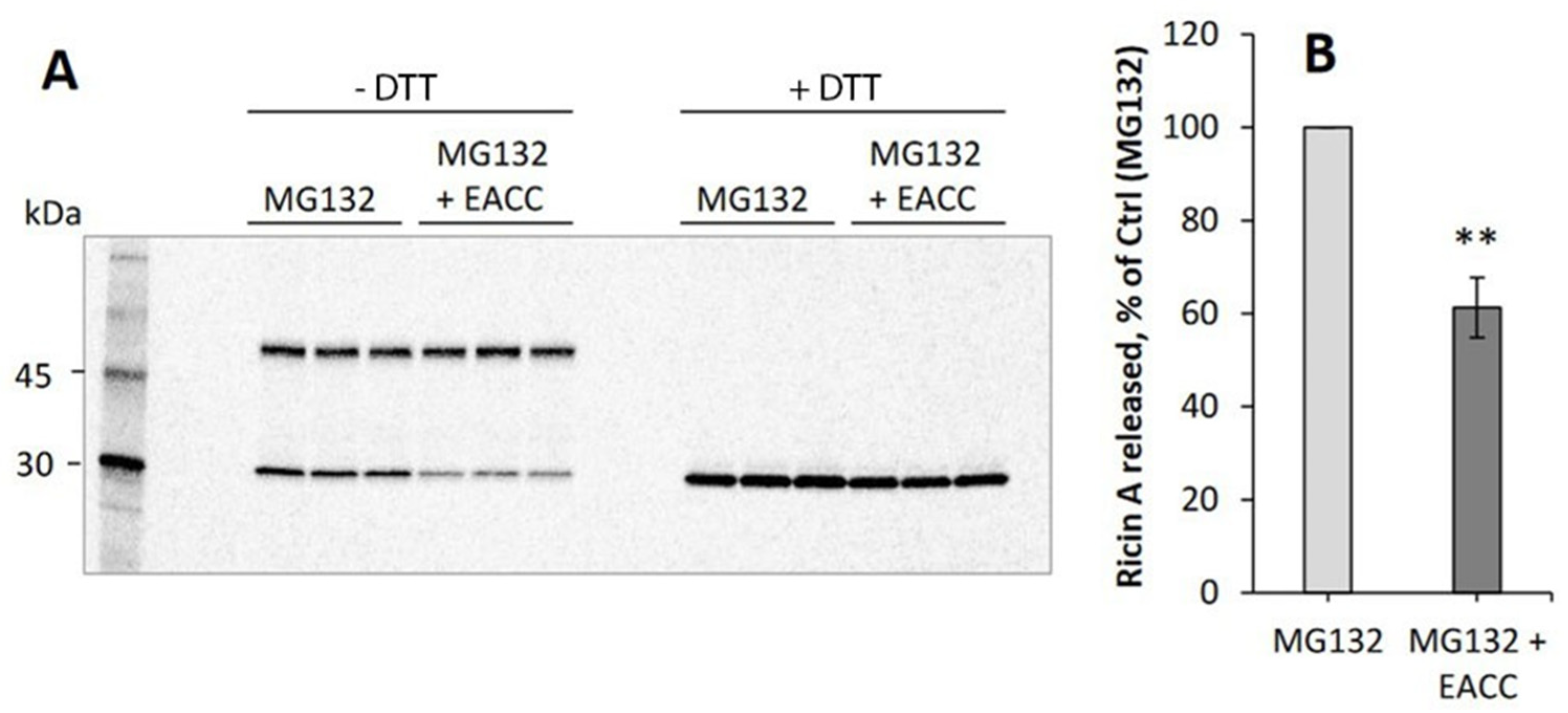 Toxins 14 00360 g004 Toxins 14 00360 g004