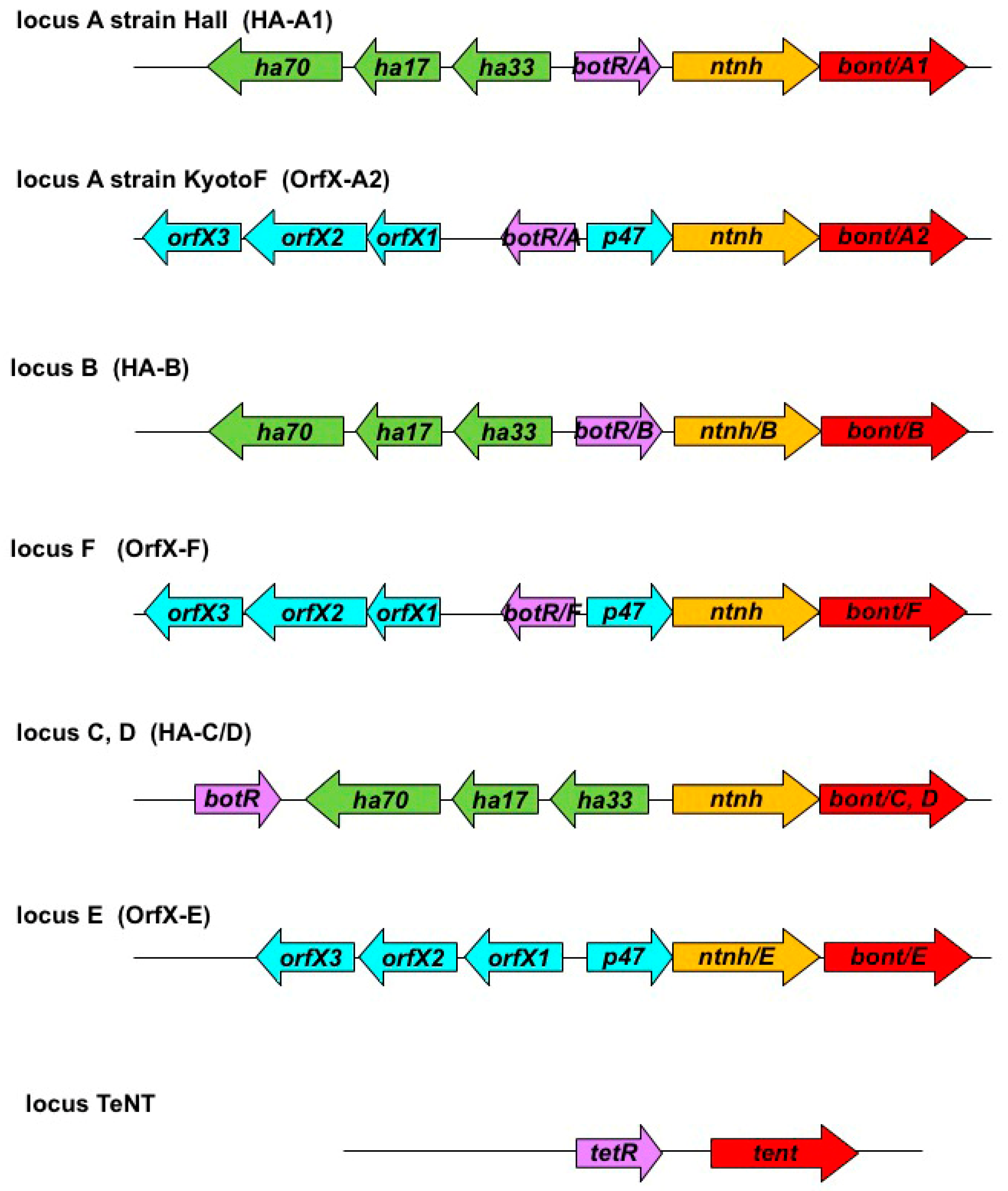 Toxins 14 00364 g001