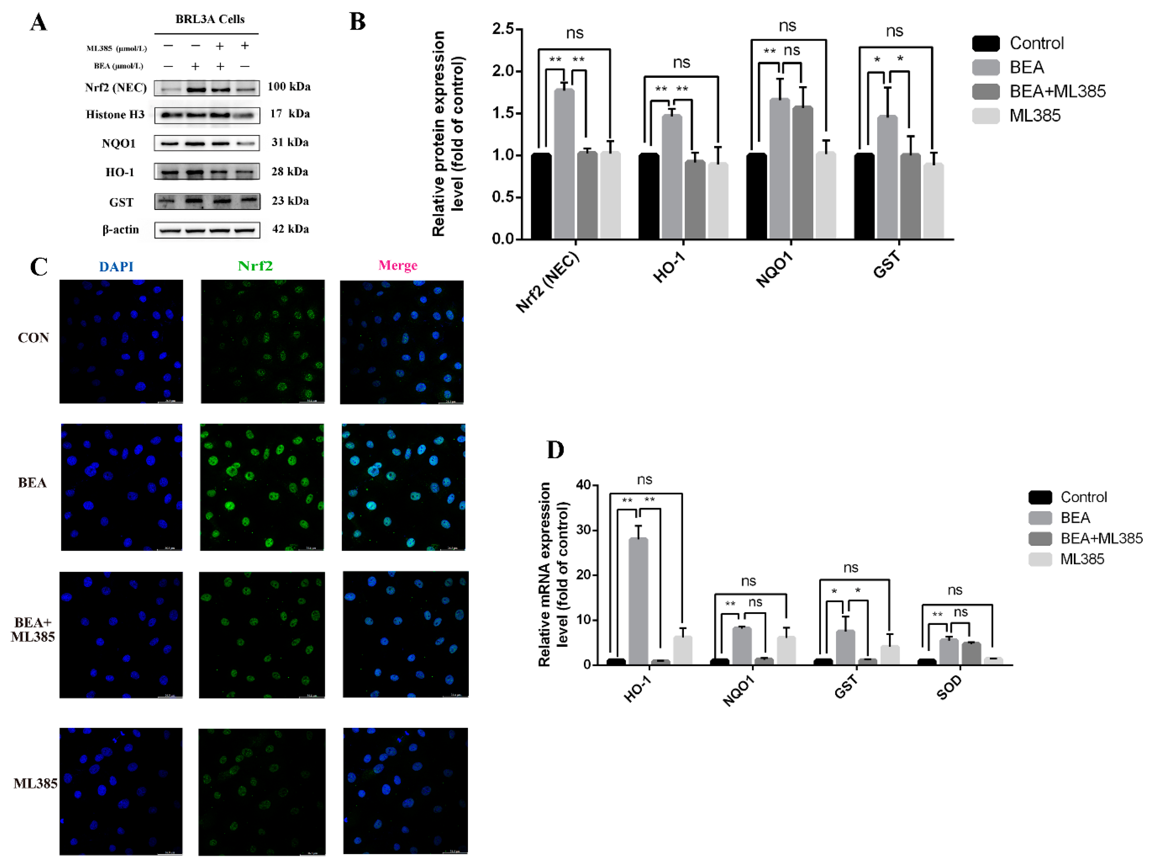 Toxins 14 00367 g005