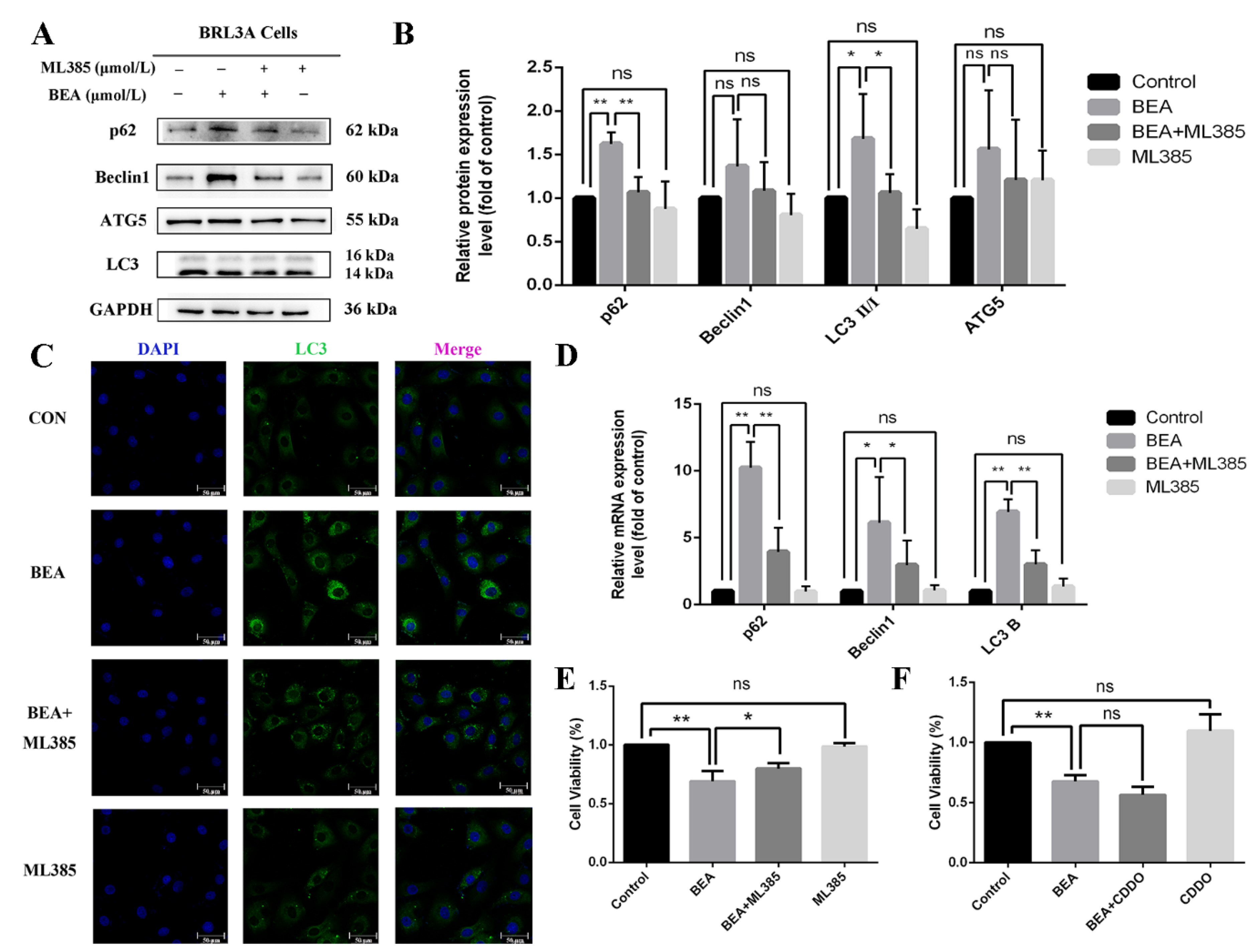 Toxins 14 00367 g006