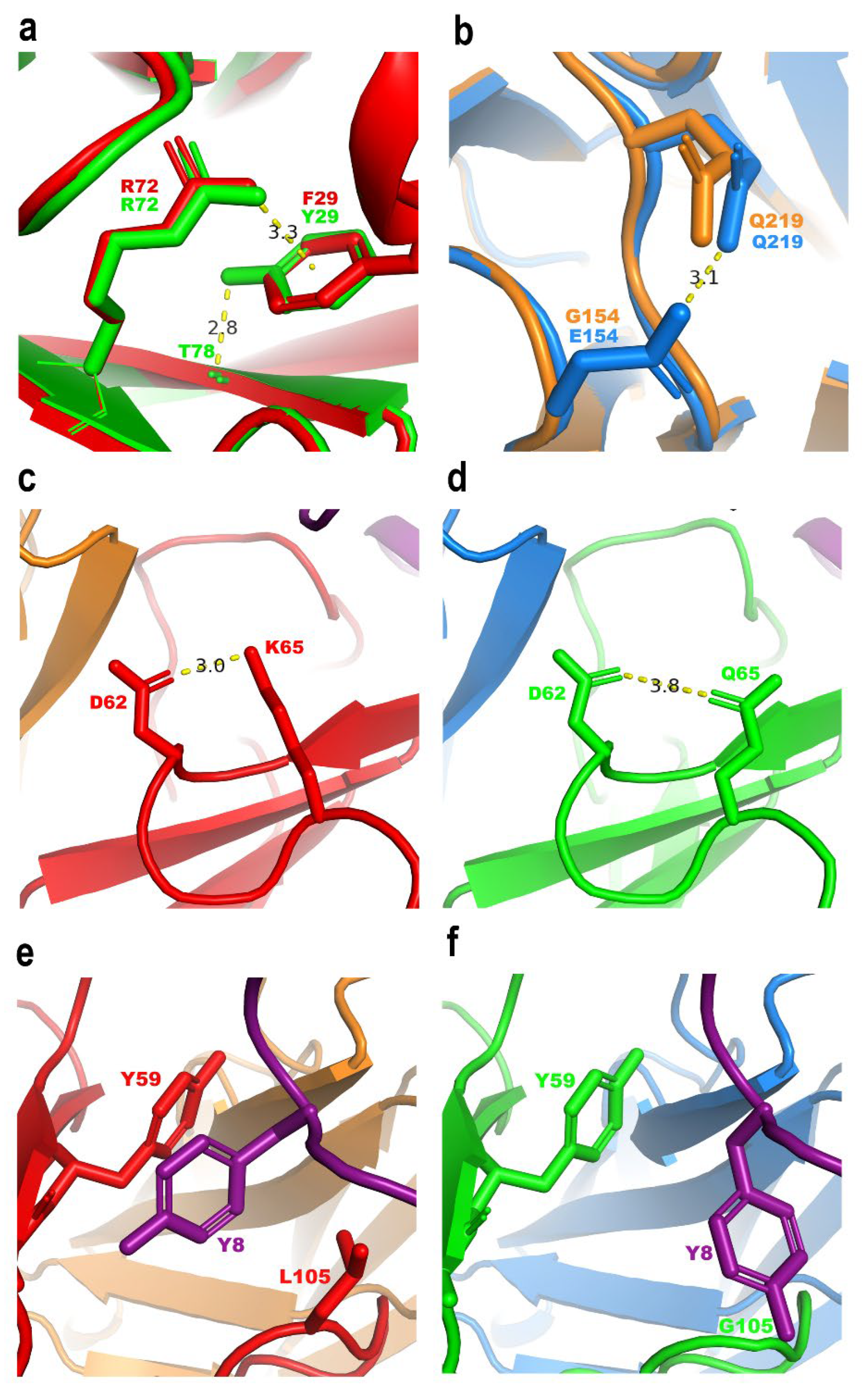 Toxins 14 00369 g005