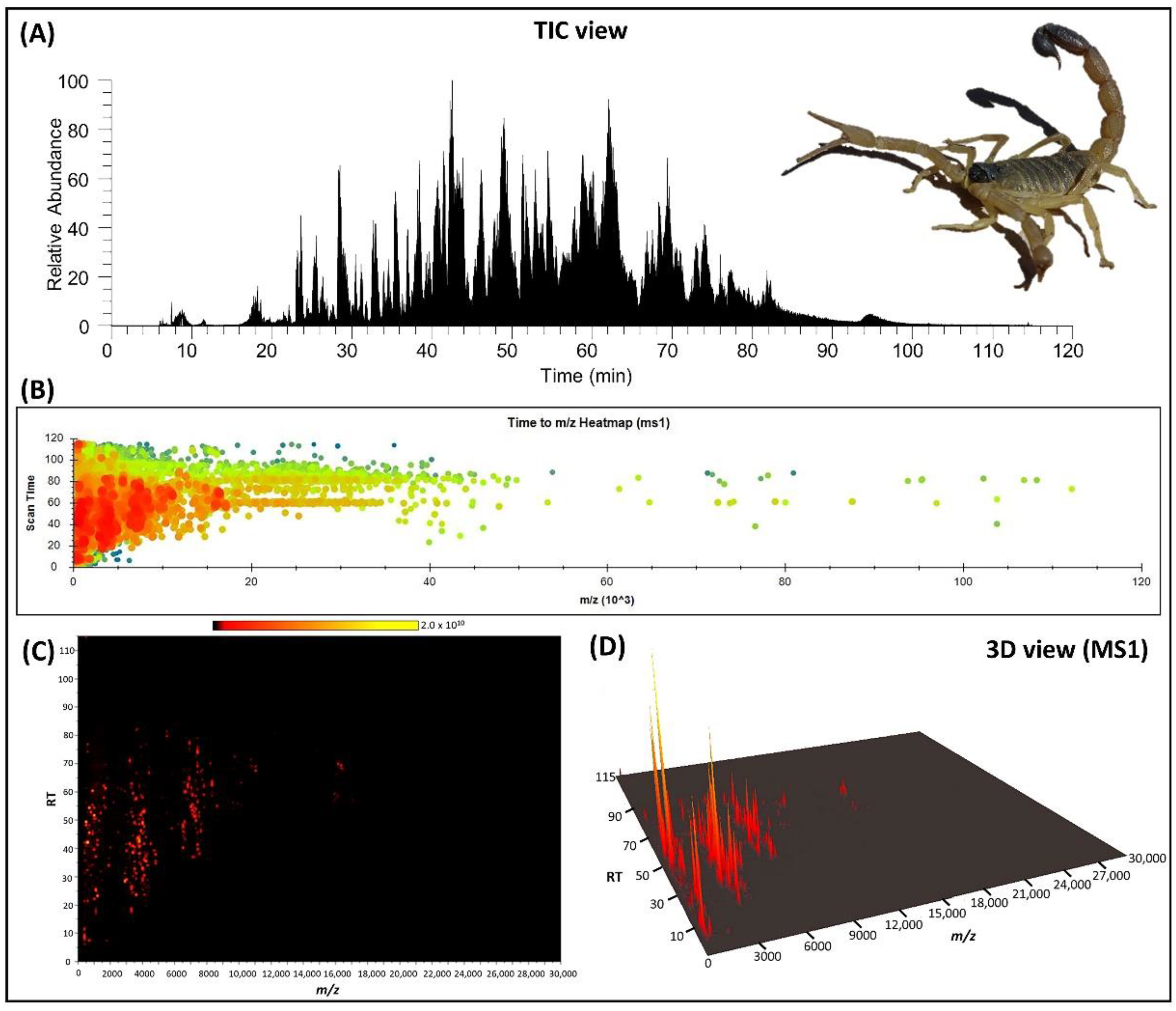 Toxins 14 00370 g001