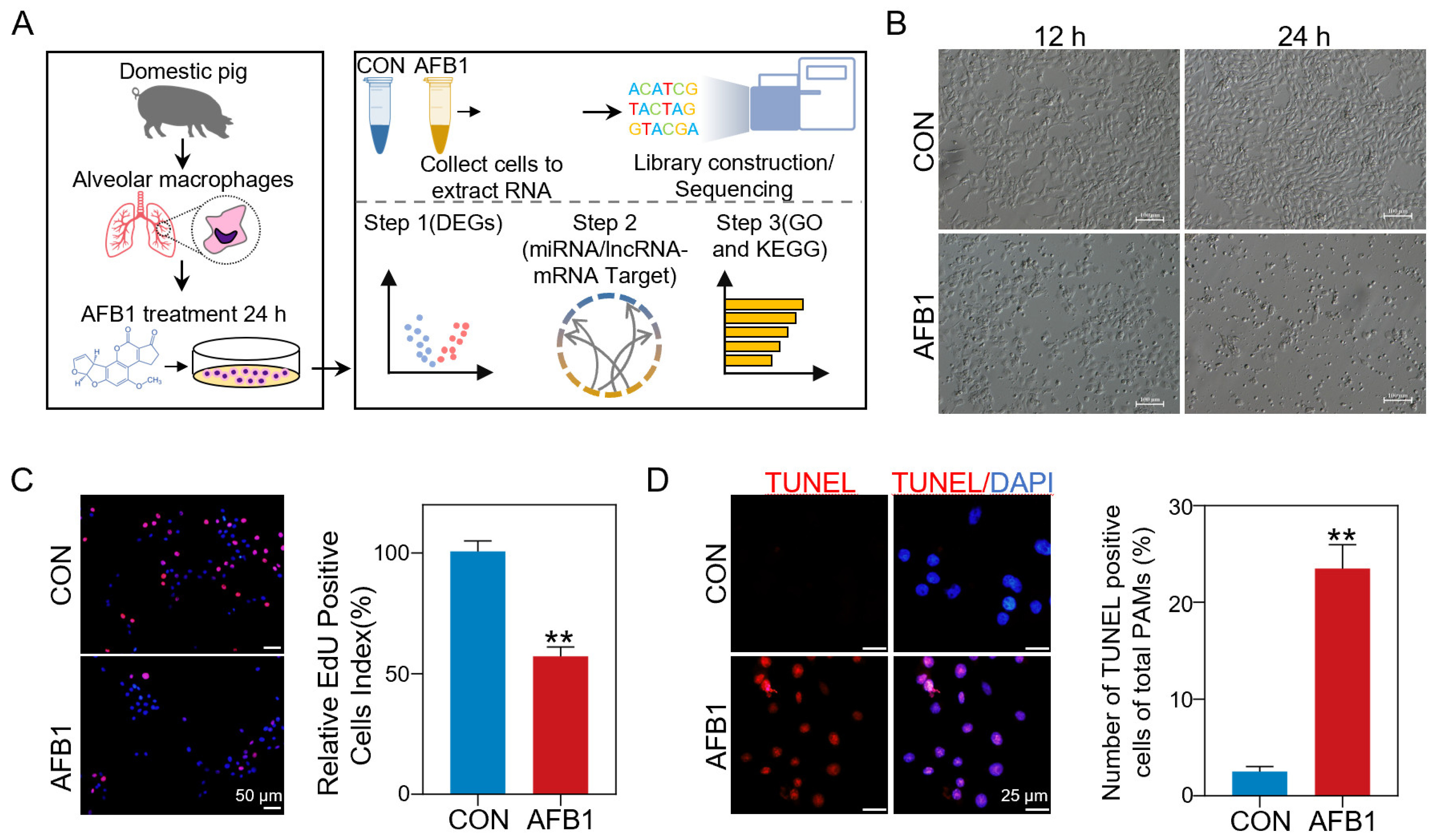 Toxins 14 00373 g001