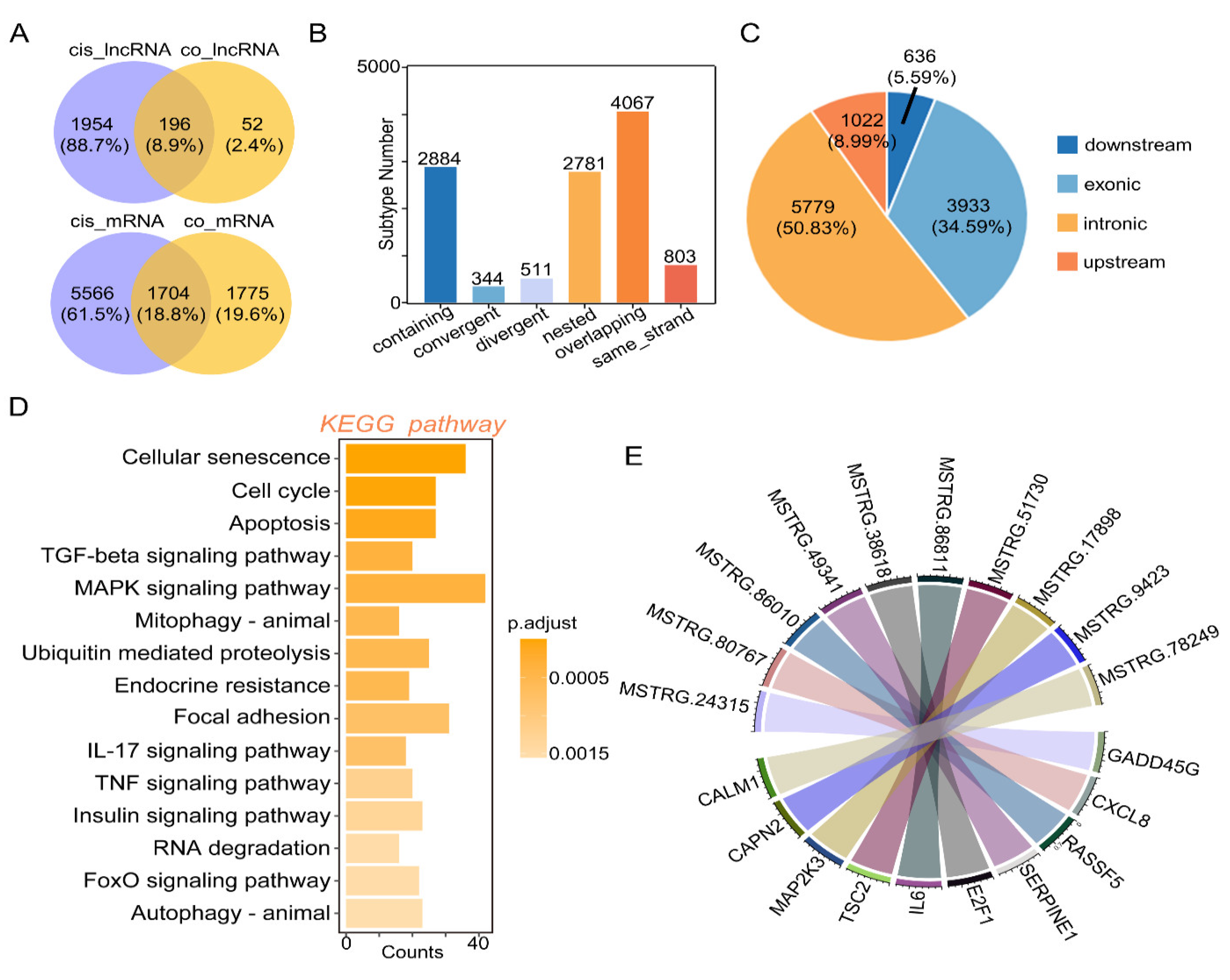 Toxins 14 00373 g004