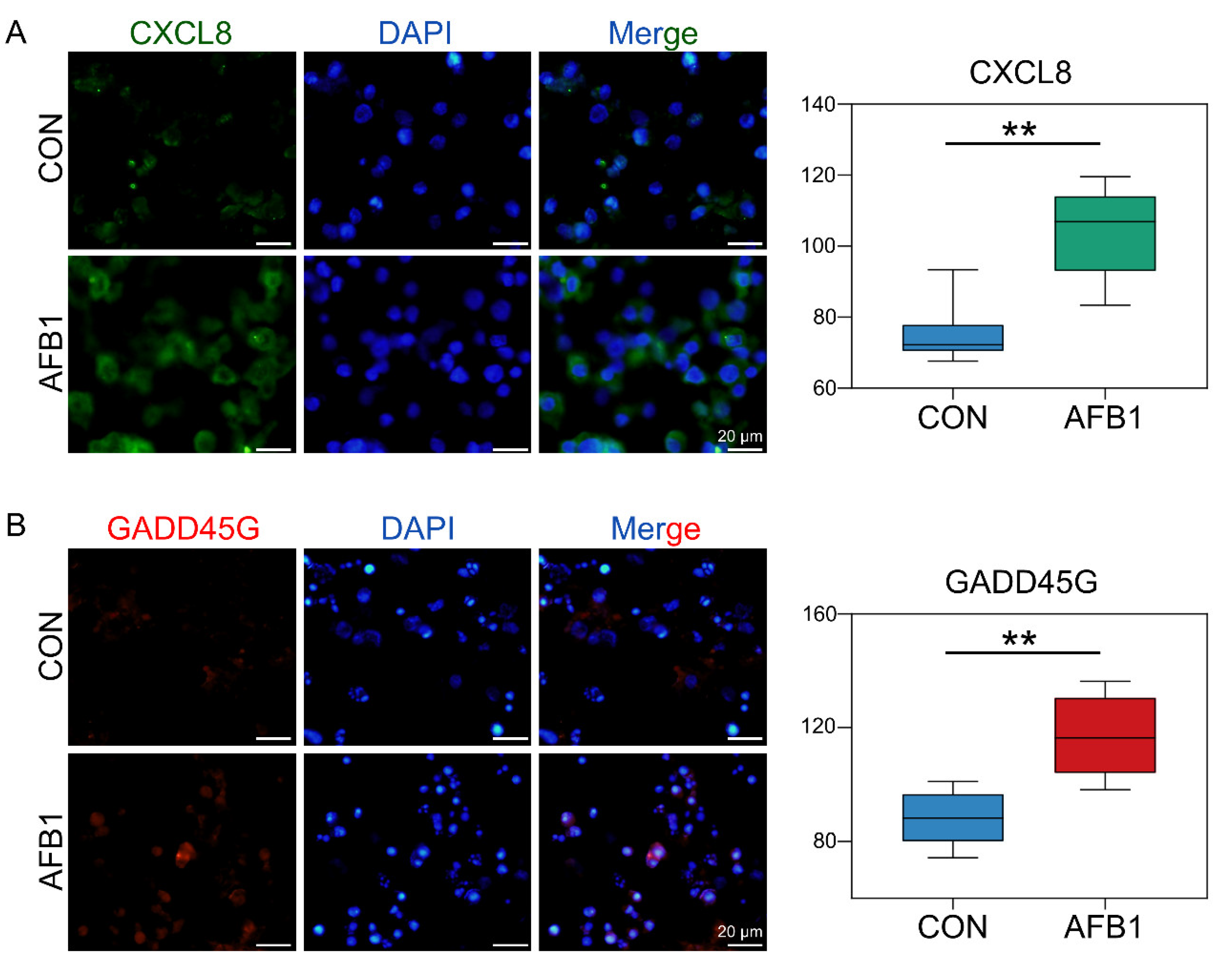 Toxins 14 00373 g005