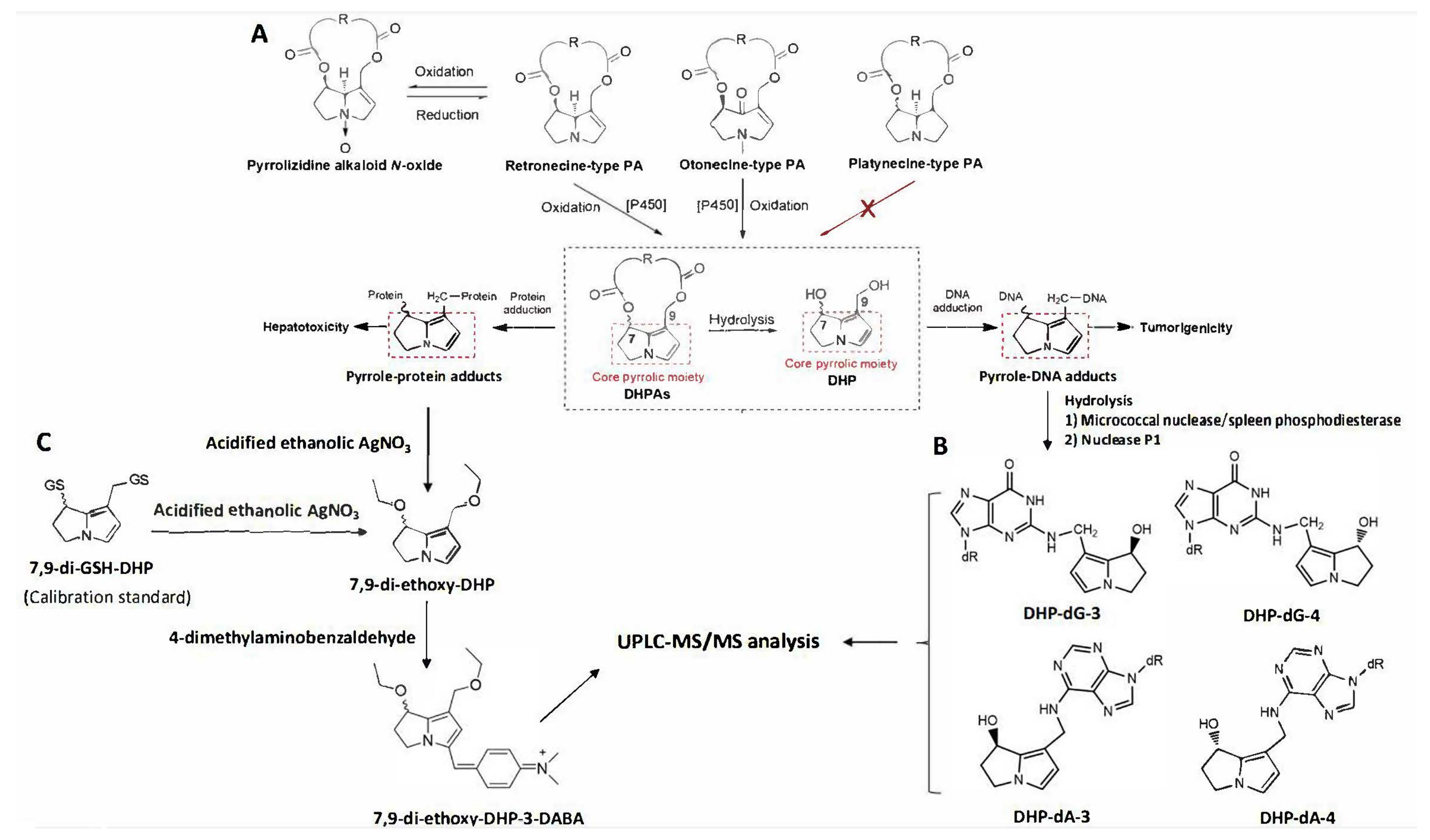 Toxins 14 00377 g001