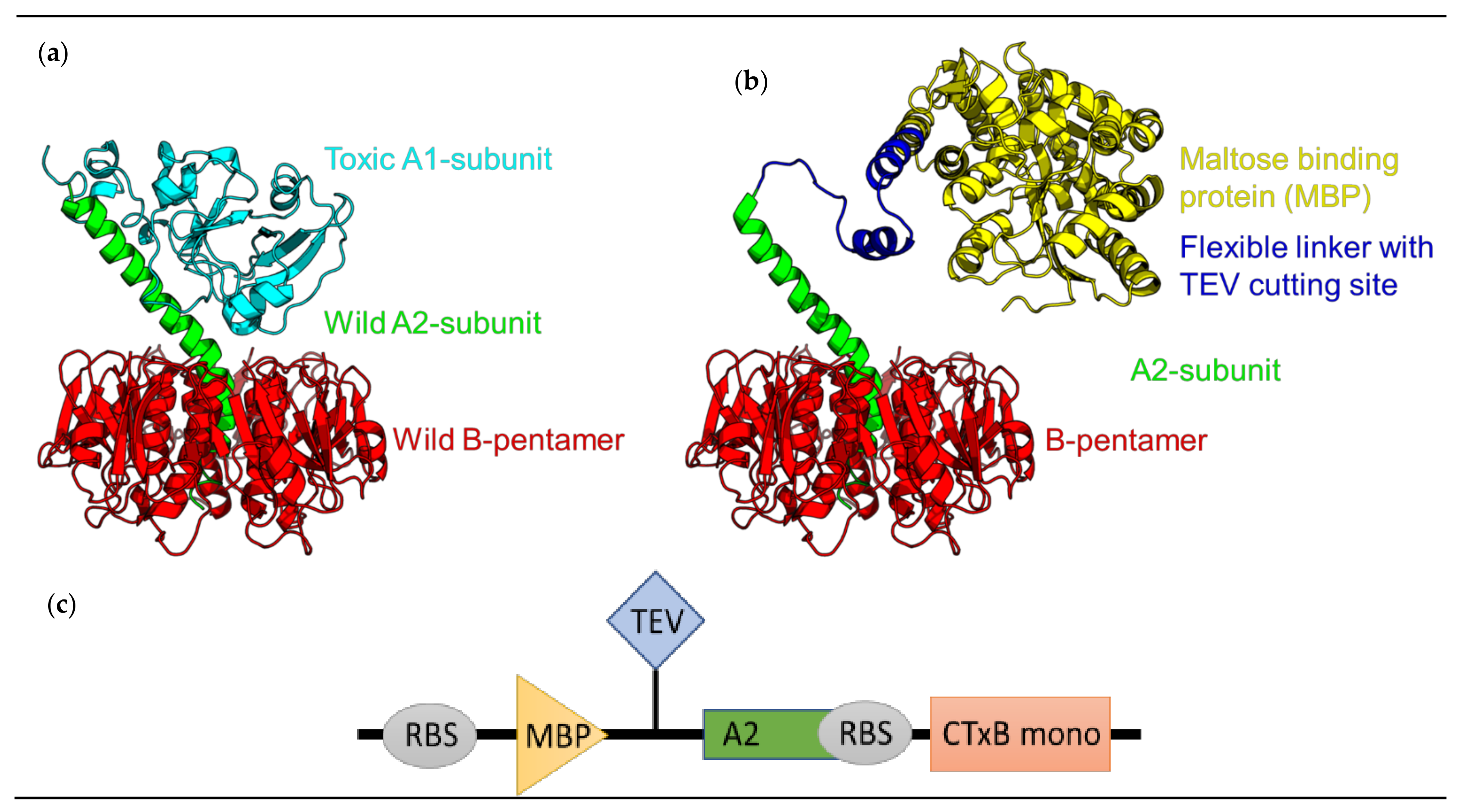 Toxins 14 00396 g001