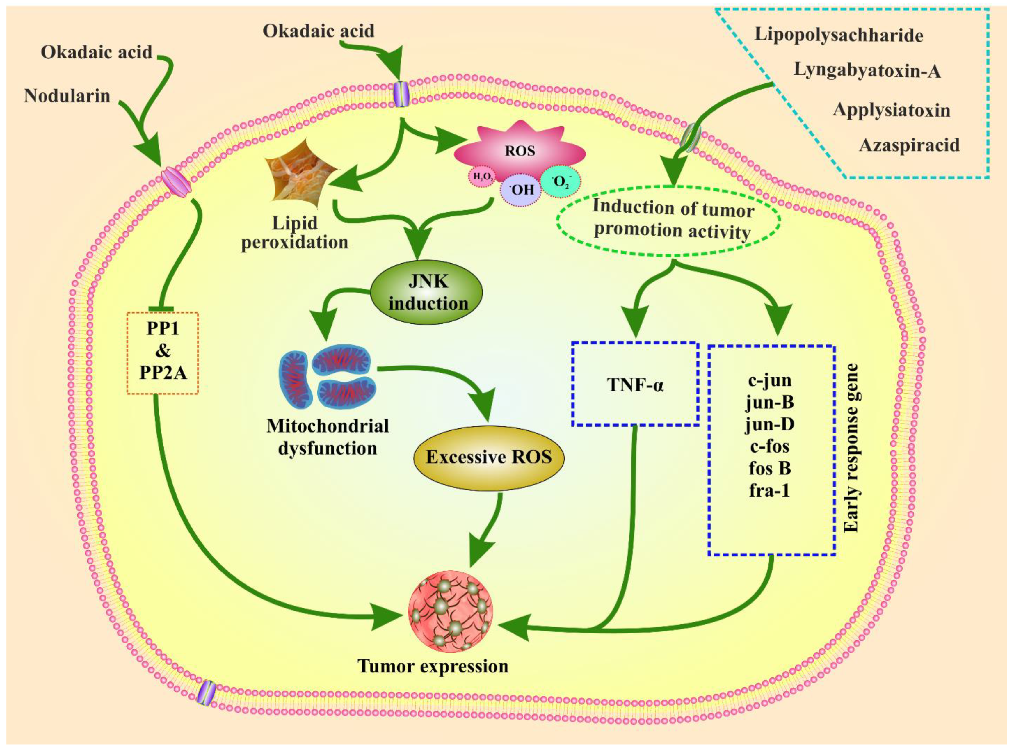 Toxins 14 00397 g002