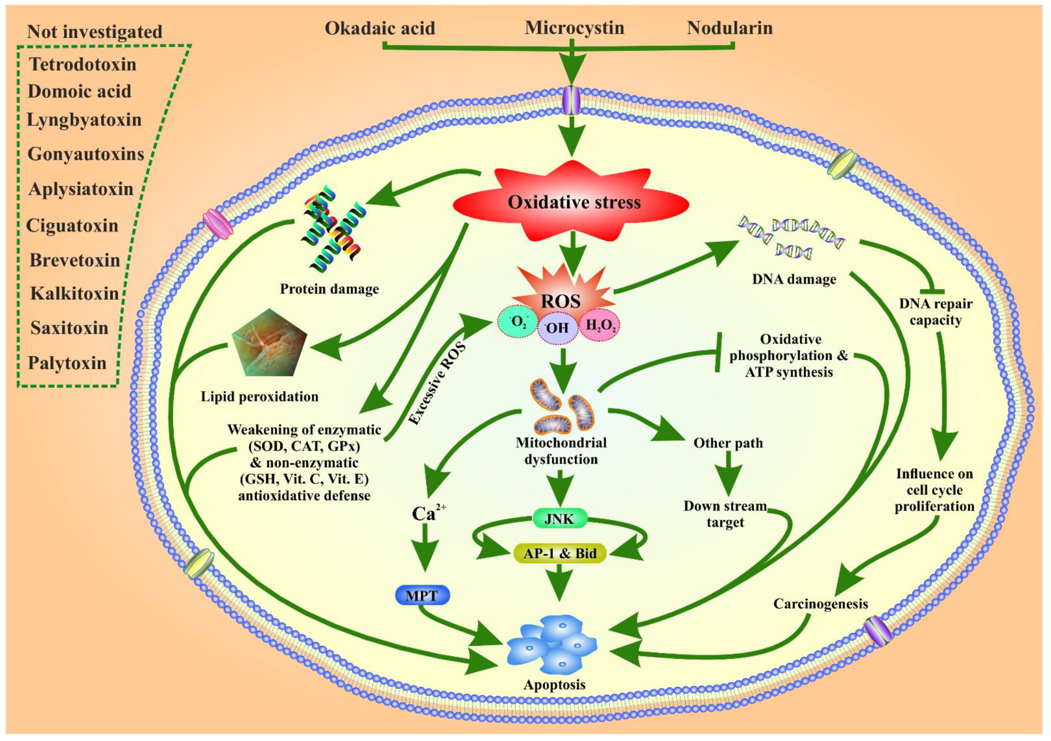 Toxins 14 00397 g003