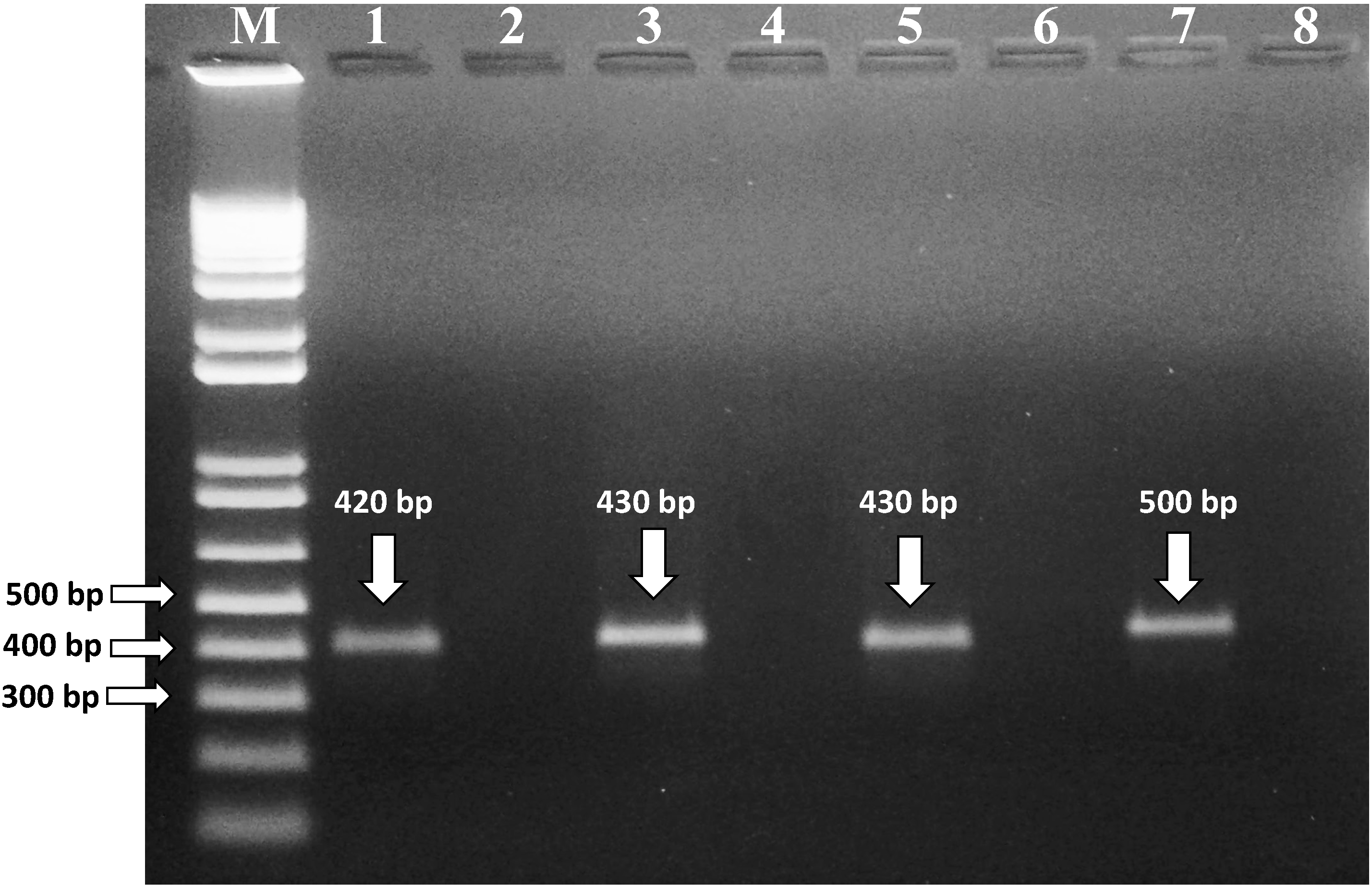 Toxins 14 00404 g001 Toxins 14 00404 g001