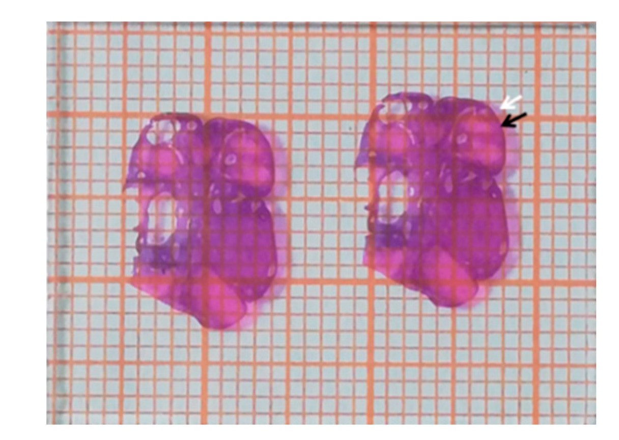 Toxins 14 00413 g002