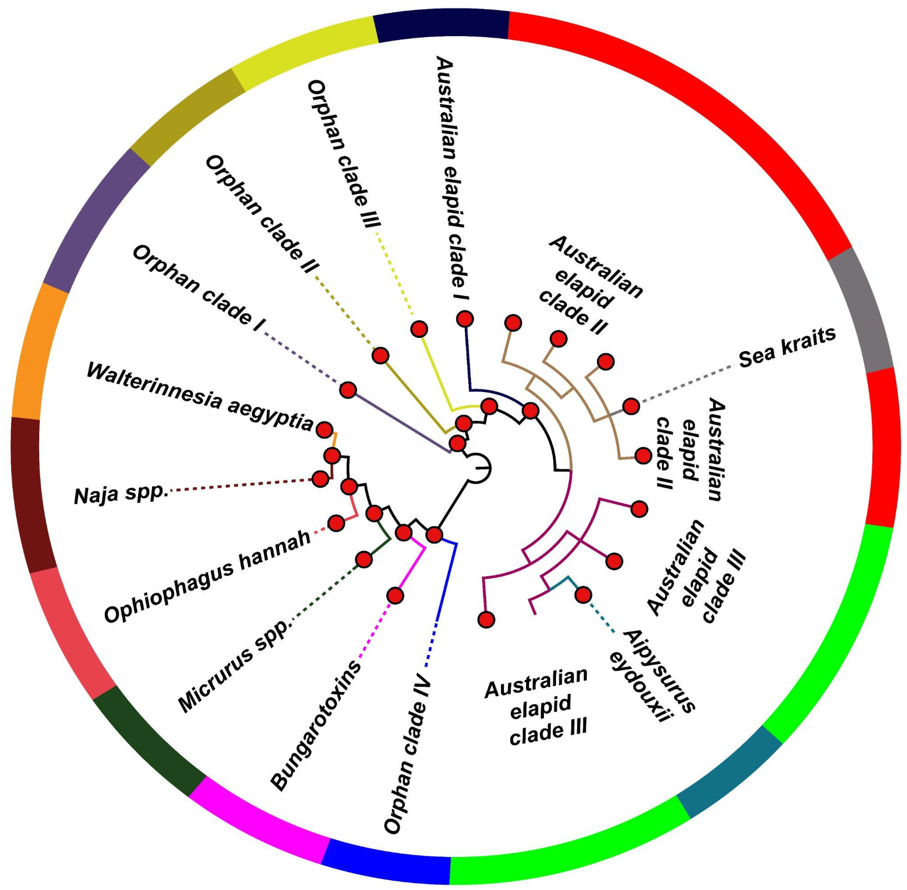 Toxins 14 00420 g001 Toxins 14 00420 g001