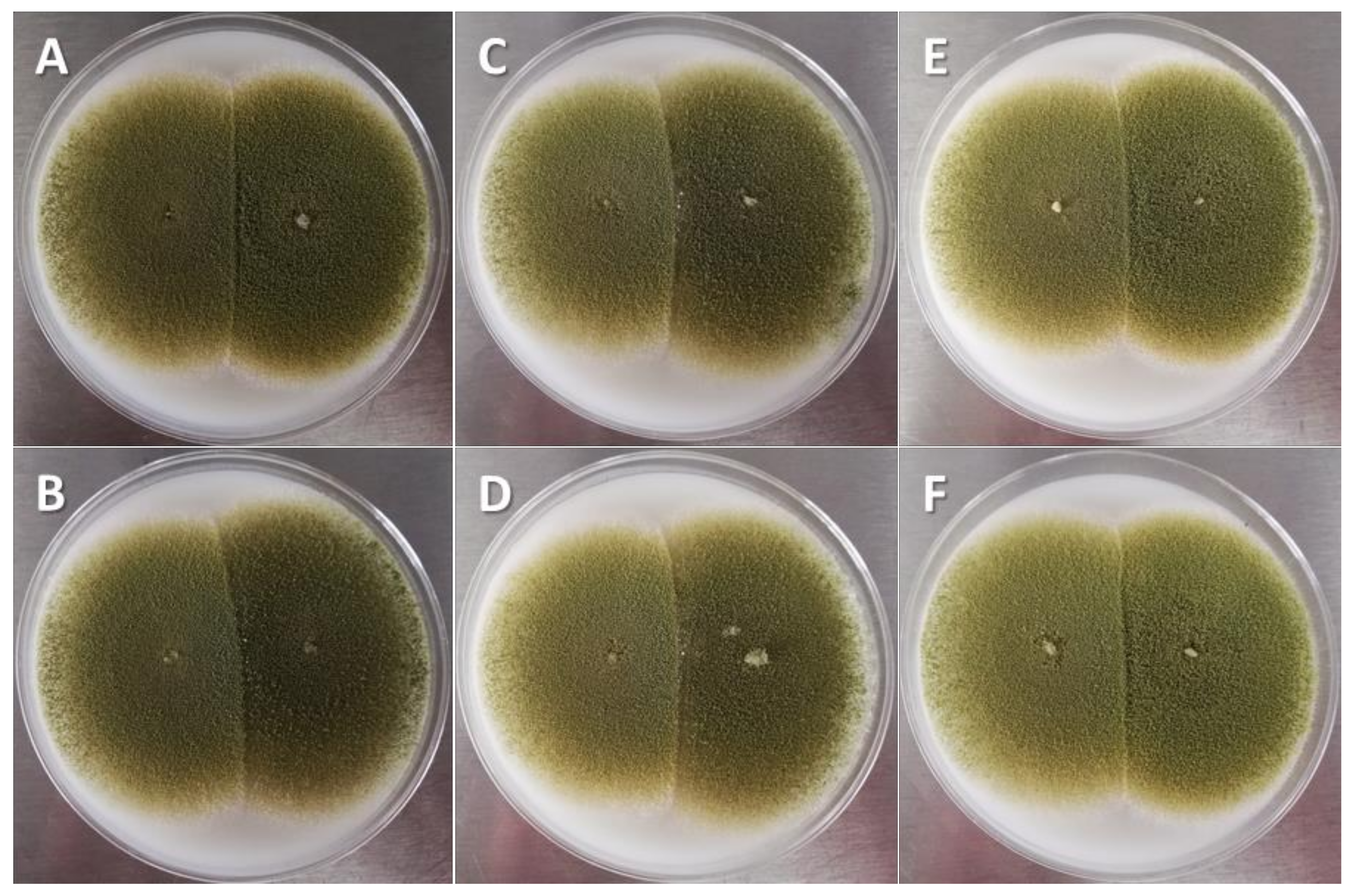 Toxins 14 00437 g004