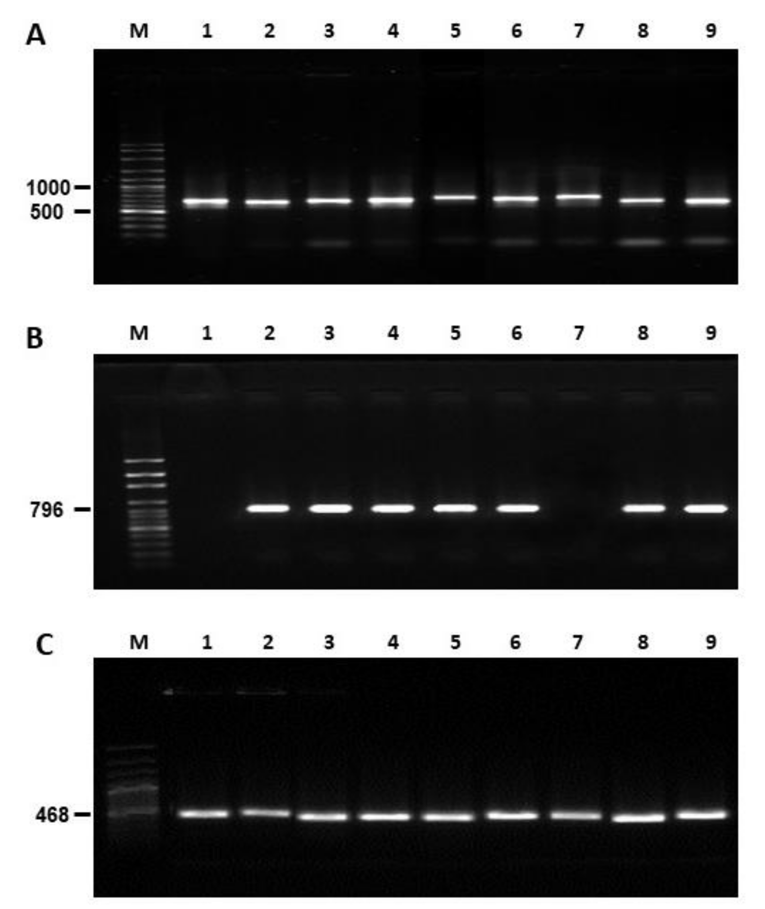 Toxins 14 00437 g005