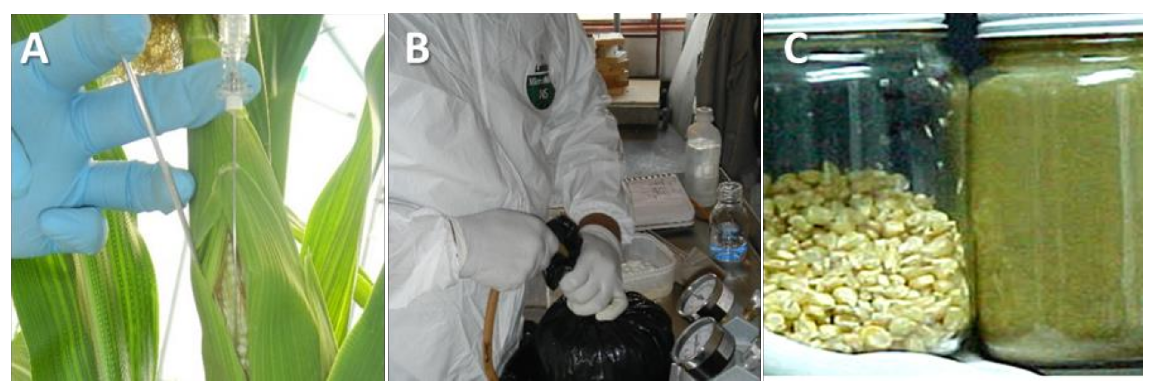 Toxins 14 00437 g006