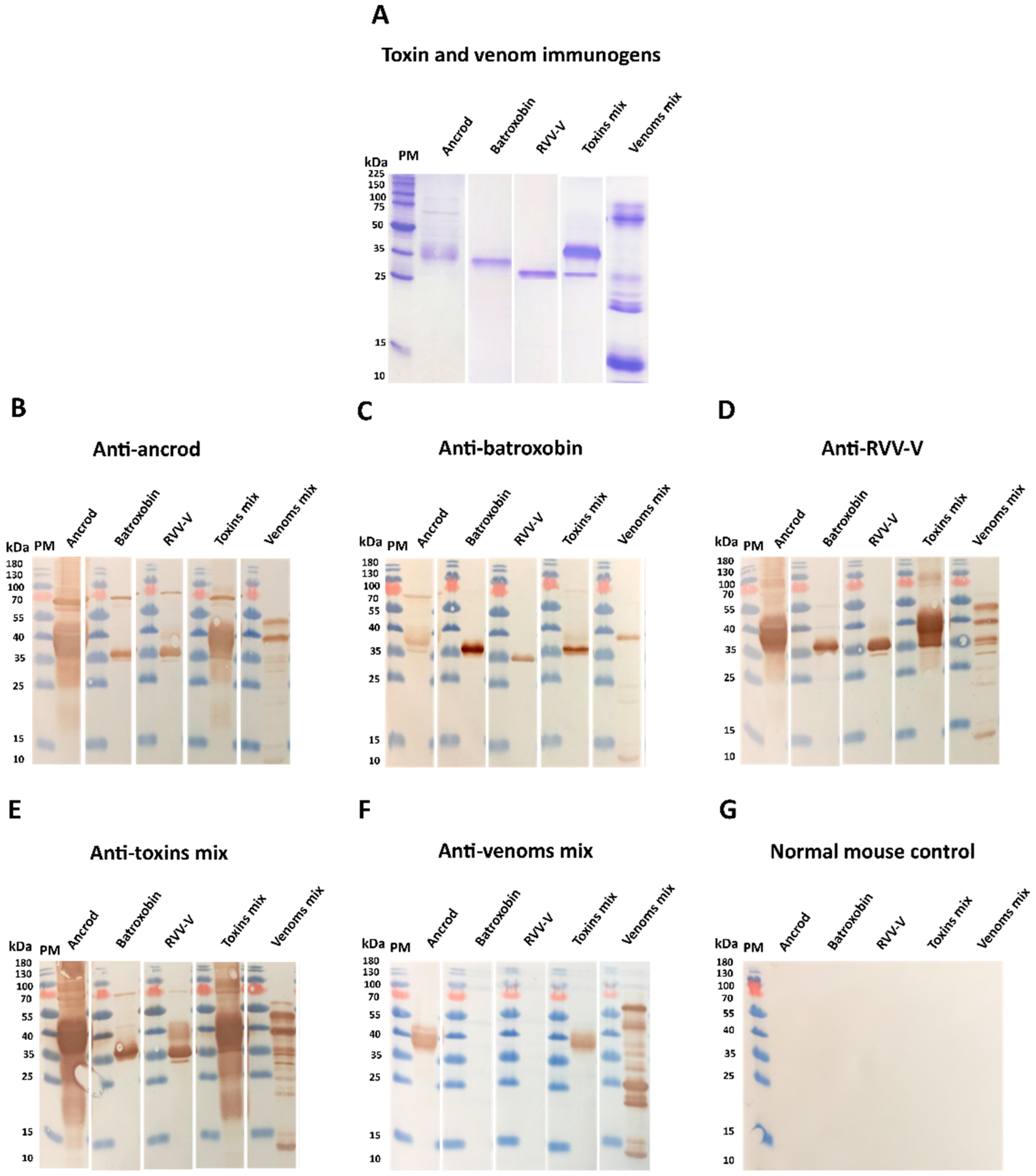 Toxins 14 00443 g004 Toxins 14 00443 g004