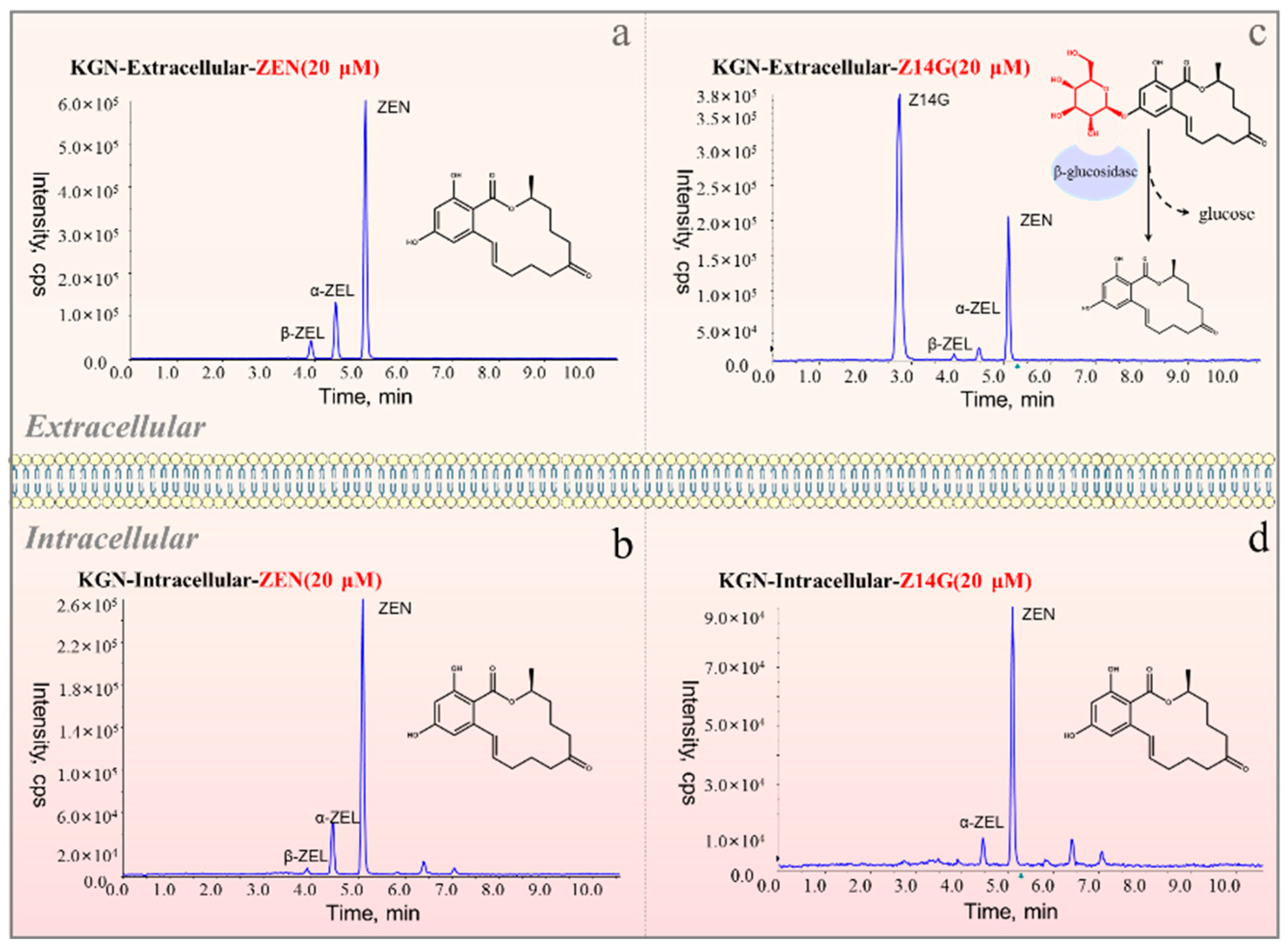 Toxins 14 00458 g002