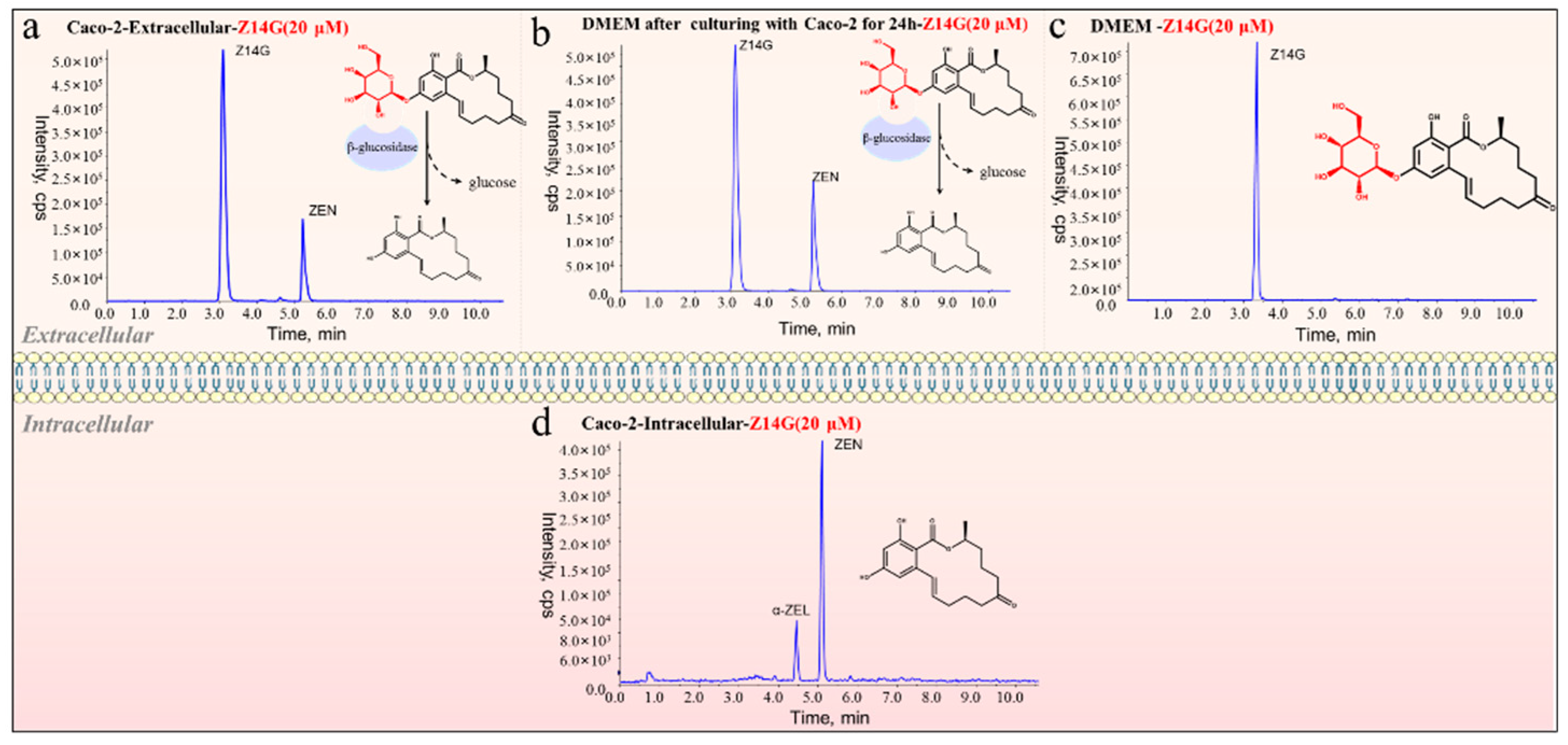 Toxins 14 00458 g006