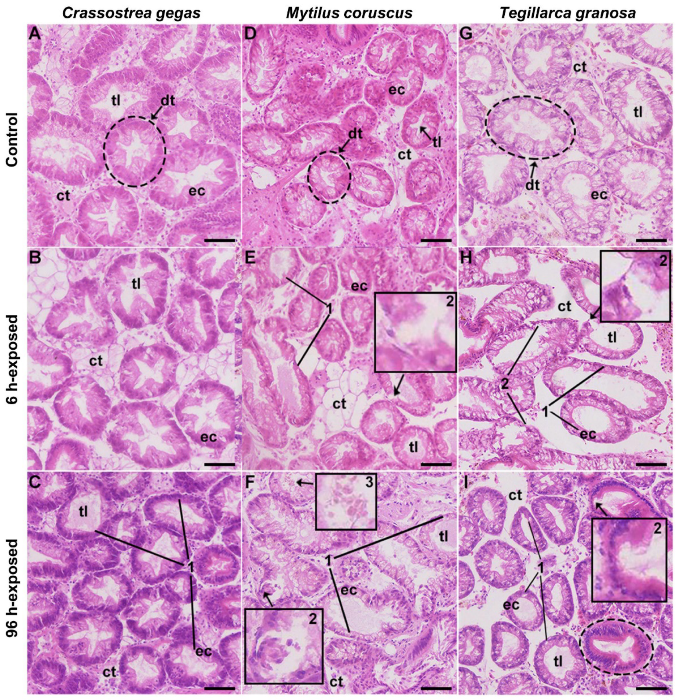 Toxins 14 00461 g003