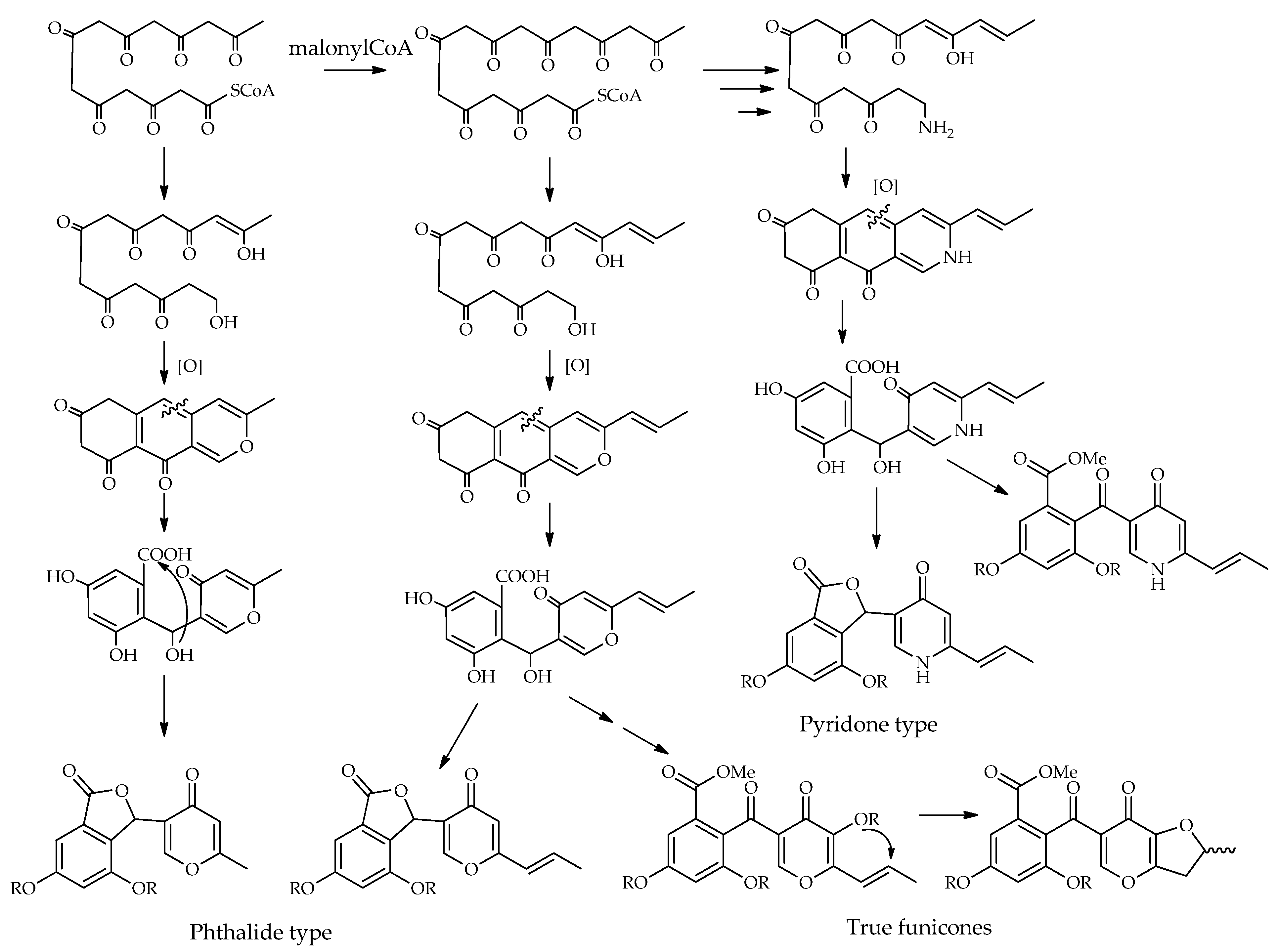 Toxins 14 00466 g006