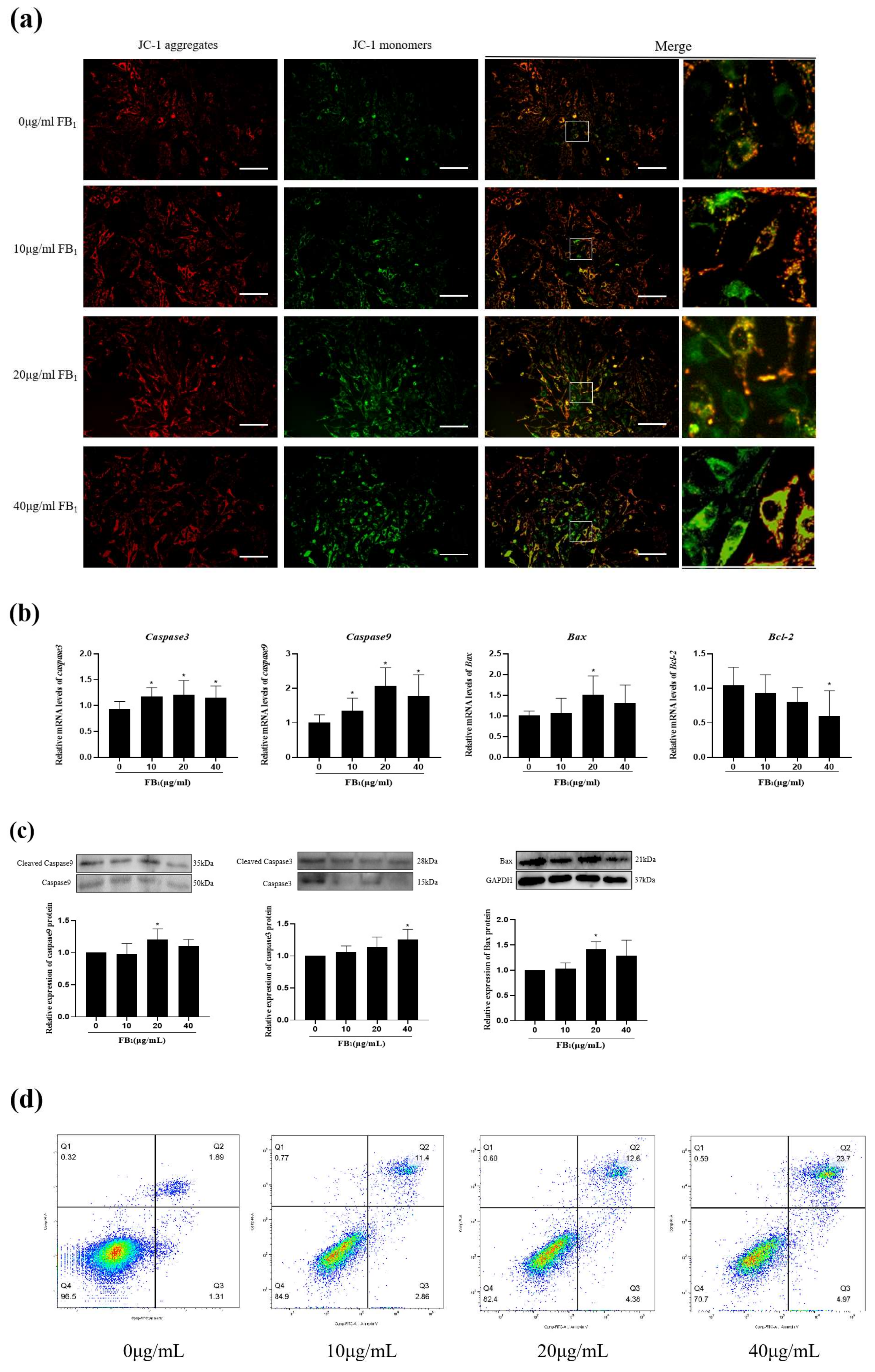 Toxins 14 00471 g003a