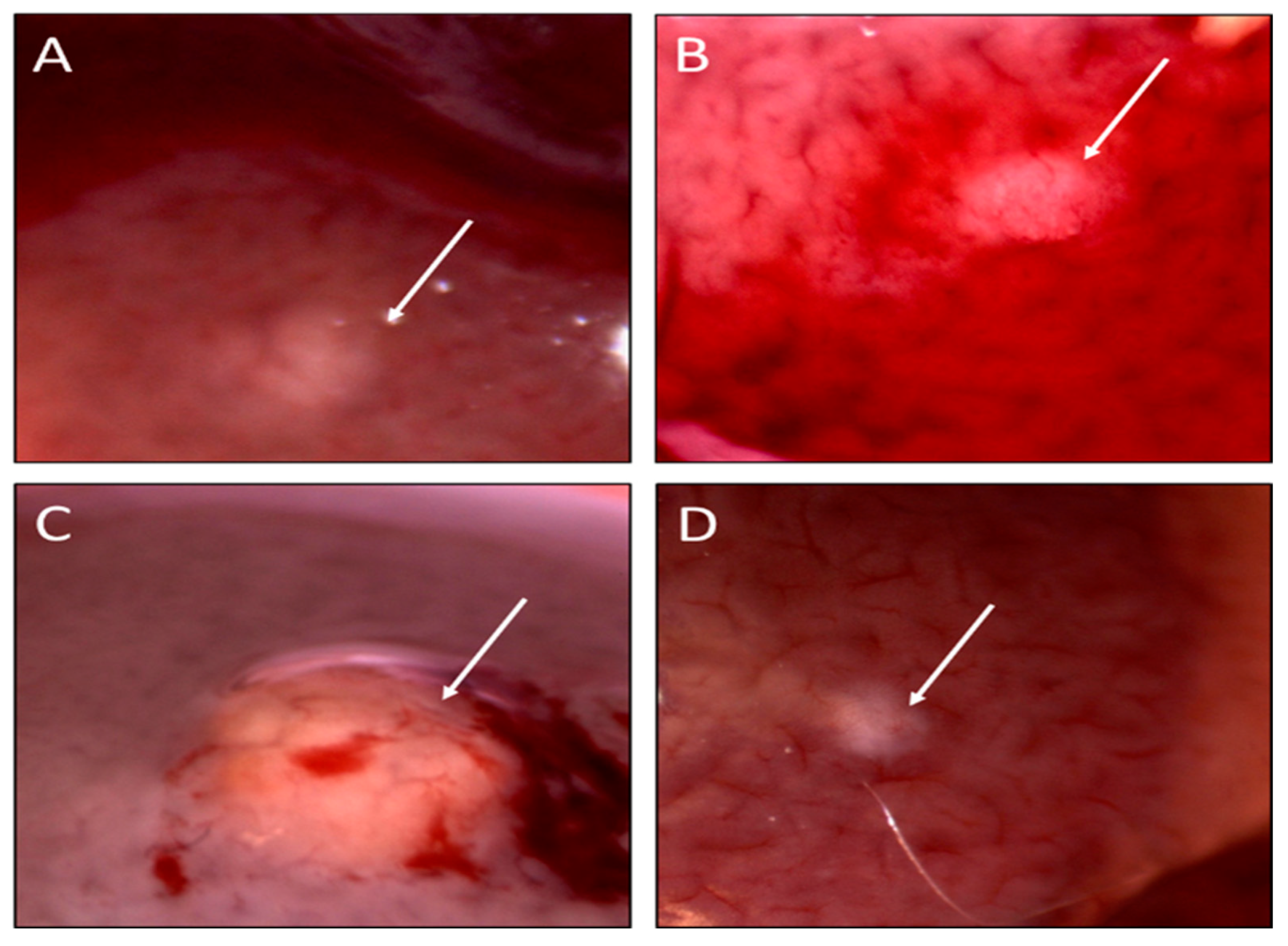 Toxins 14 00484 g002