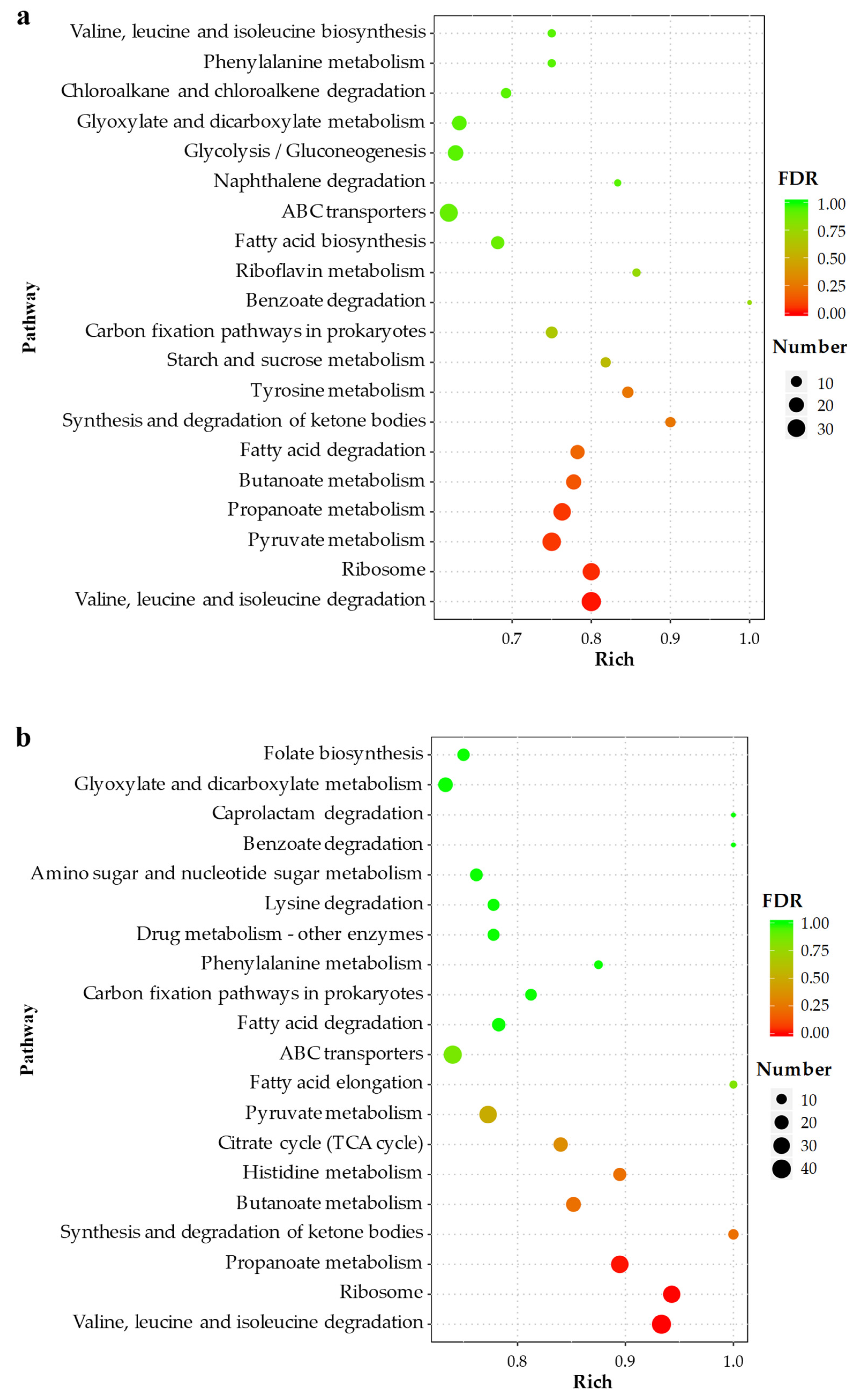 Toxins 14 00492 g005