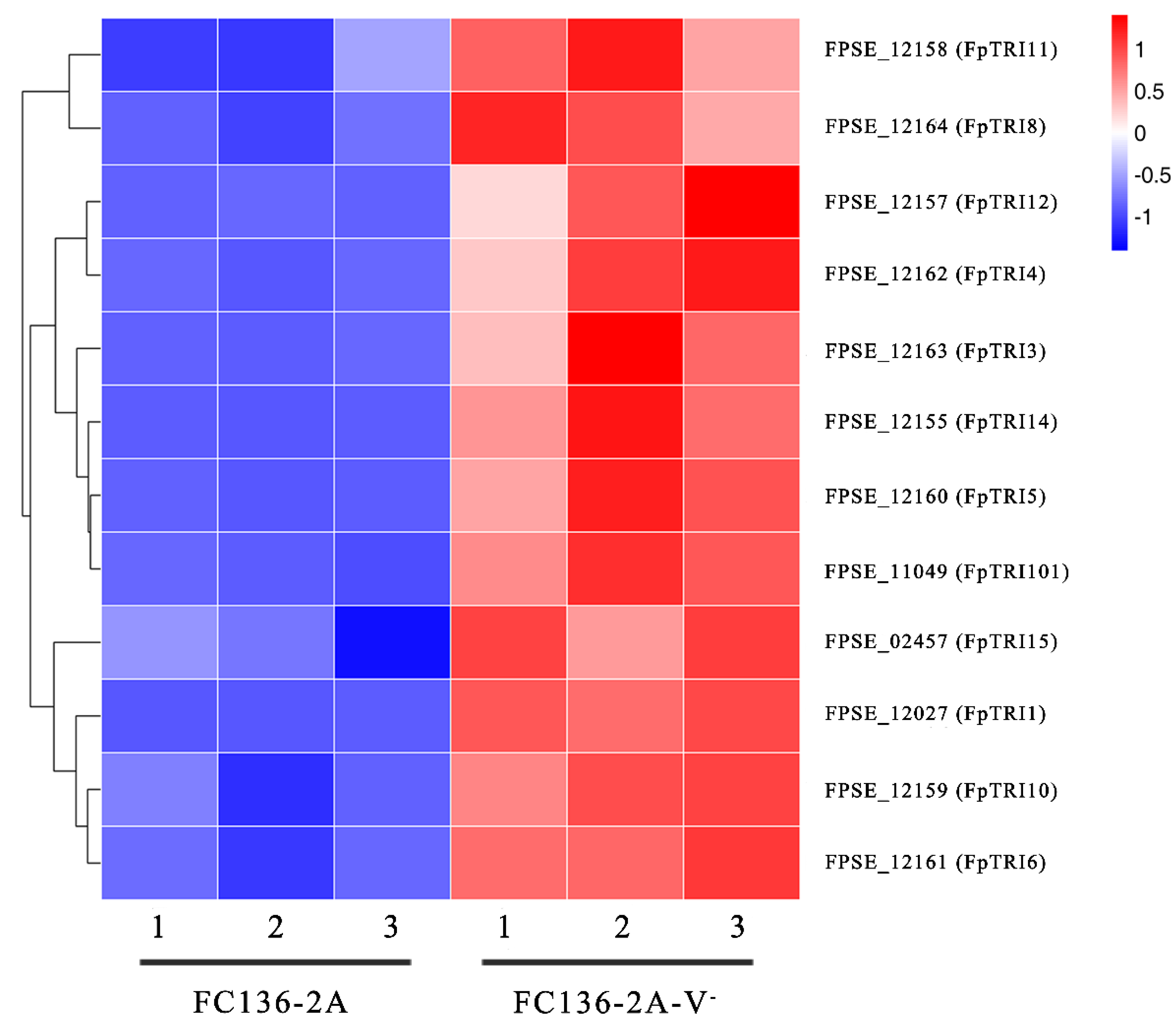 Toxins 14 00503 g005