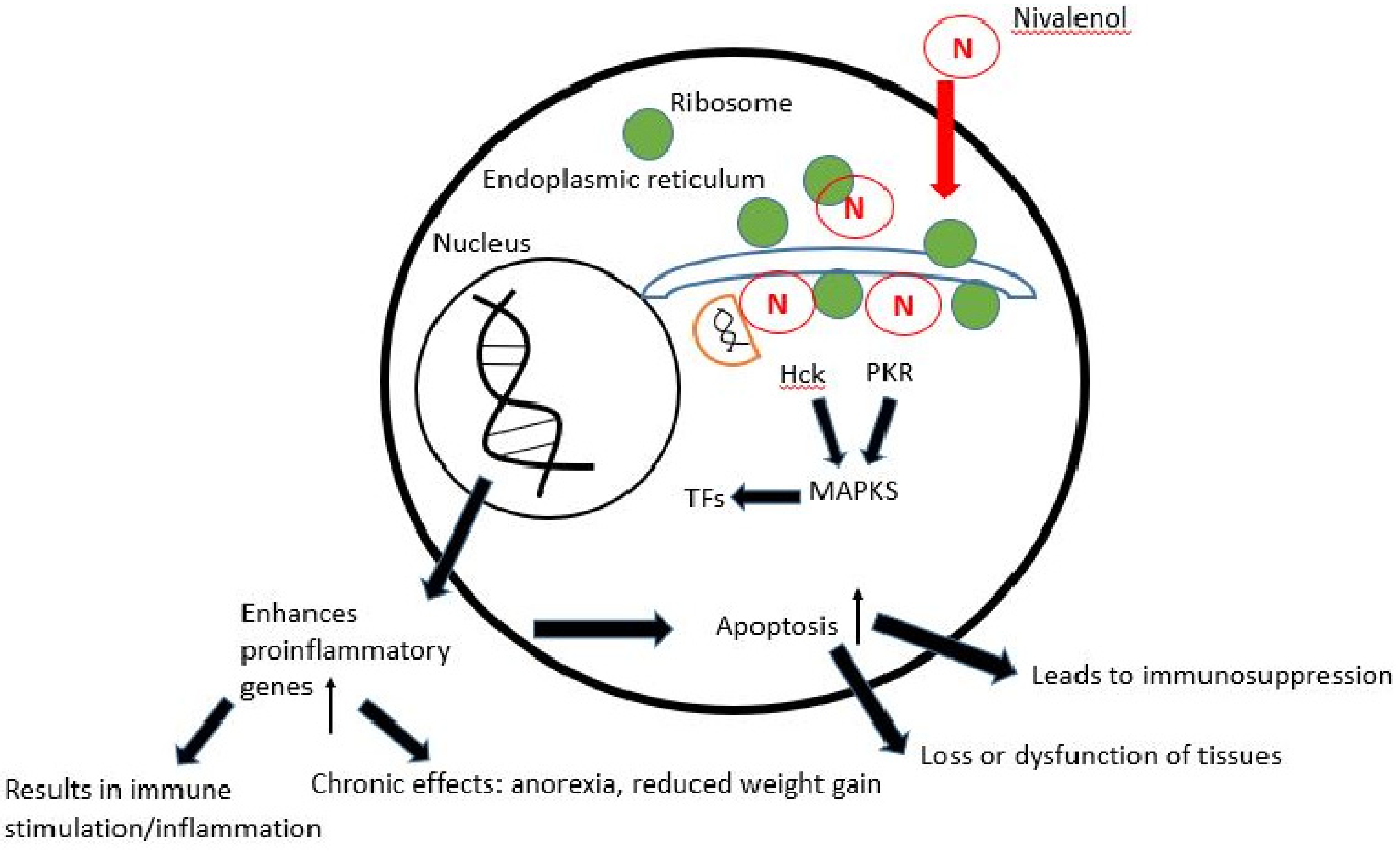 Toxins 14 00527 g002 Toxins 14 00527 g002