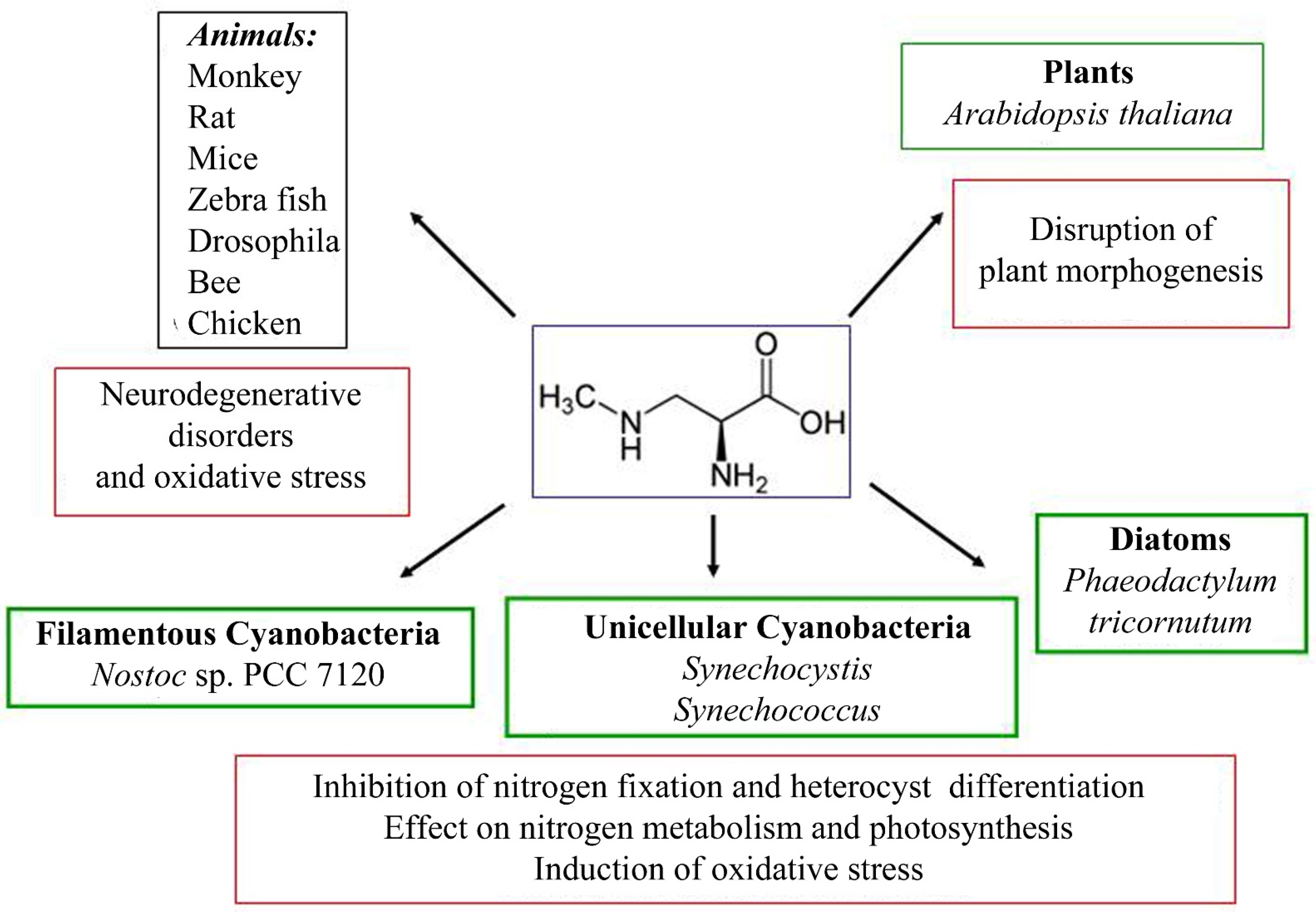 Toxins 14 00539 g003