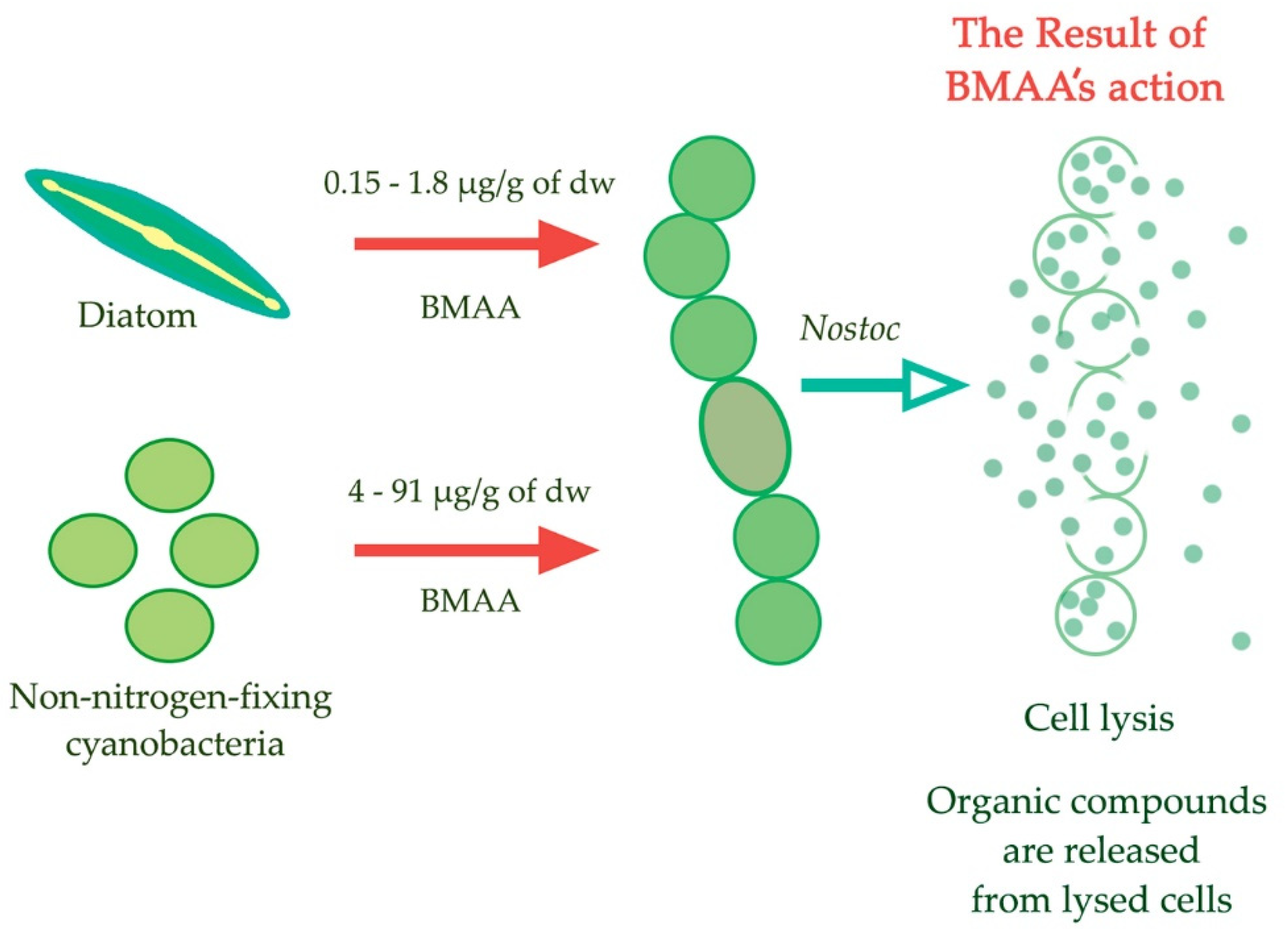 Toxins 14 00539 g006