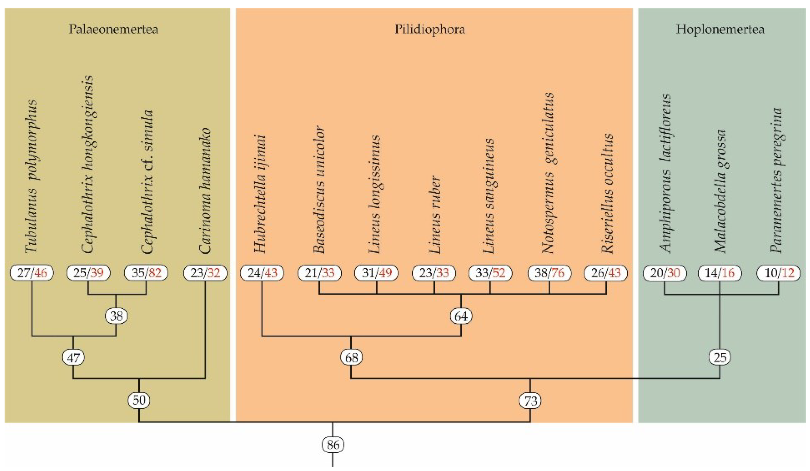 Toxins 14 00542 g001