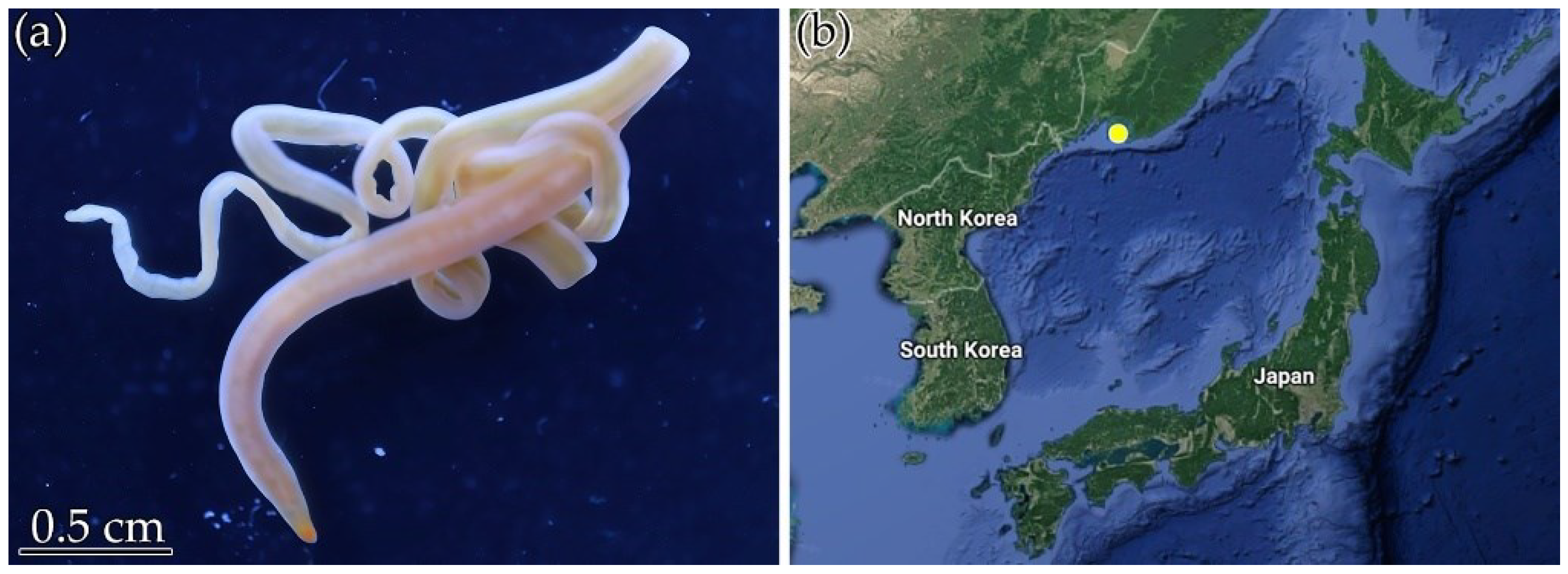 Toxins 14 00542 g005