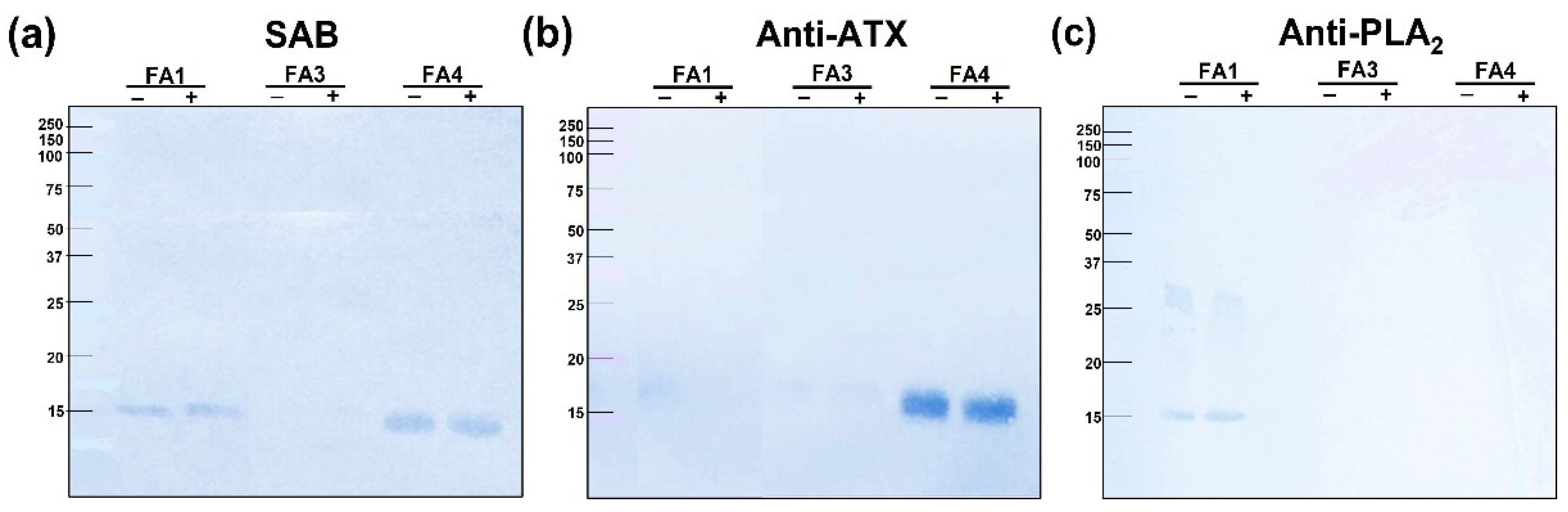 Toxins 14 00543 g008