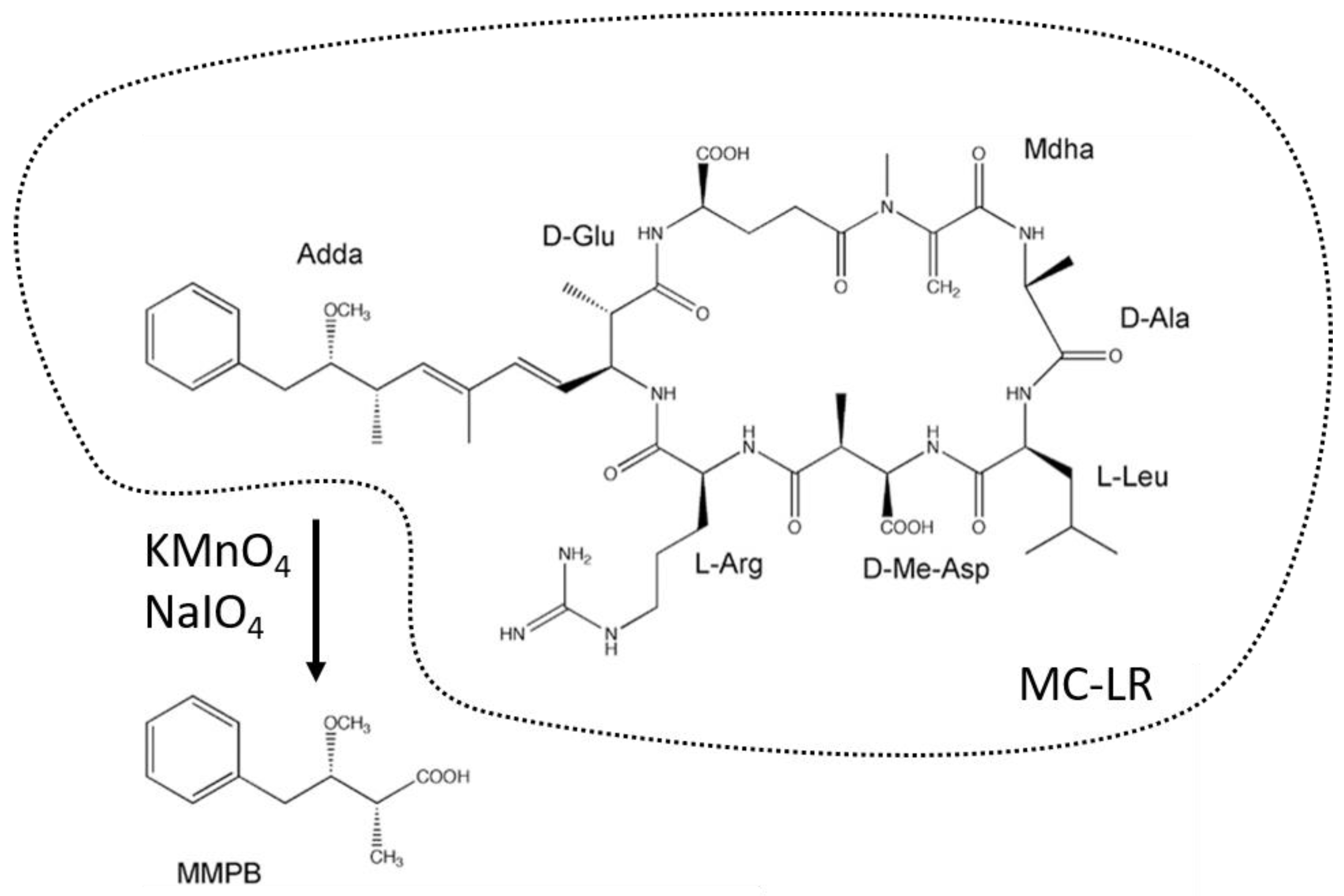Toxins 14 00550 g002