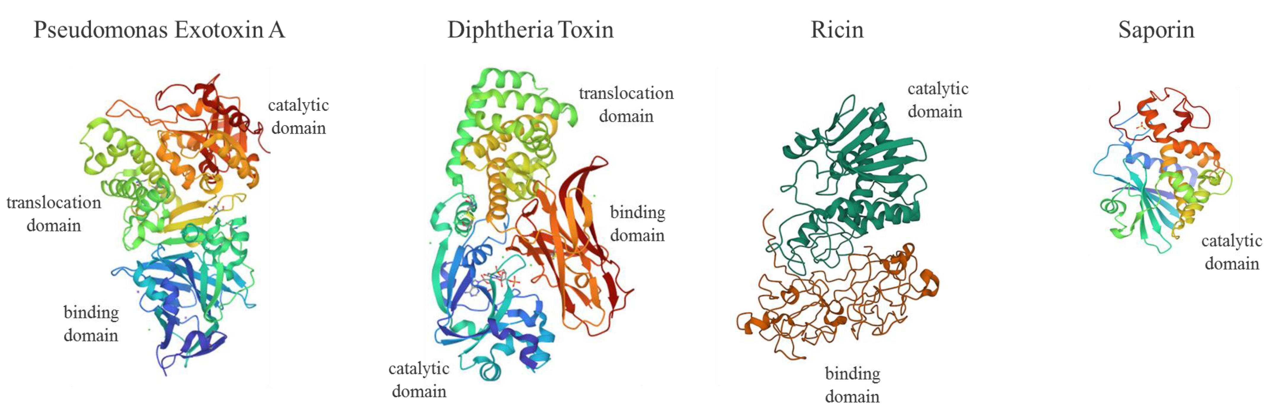 Toxins 14 00579 g001