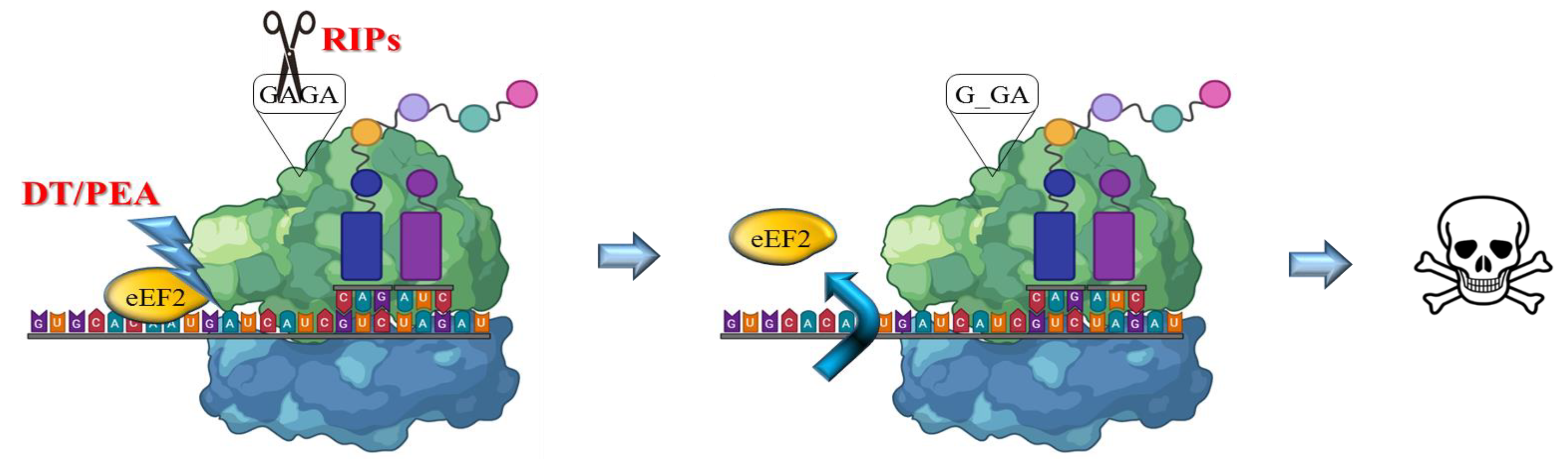 Toxins 14 00579 g002