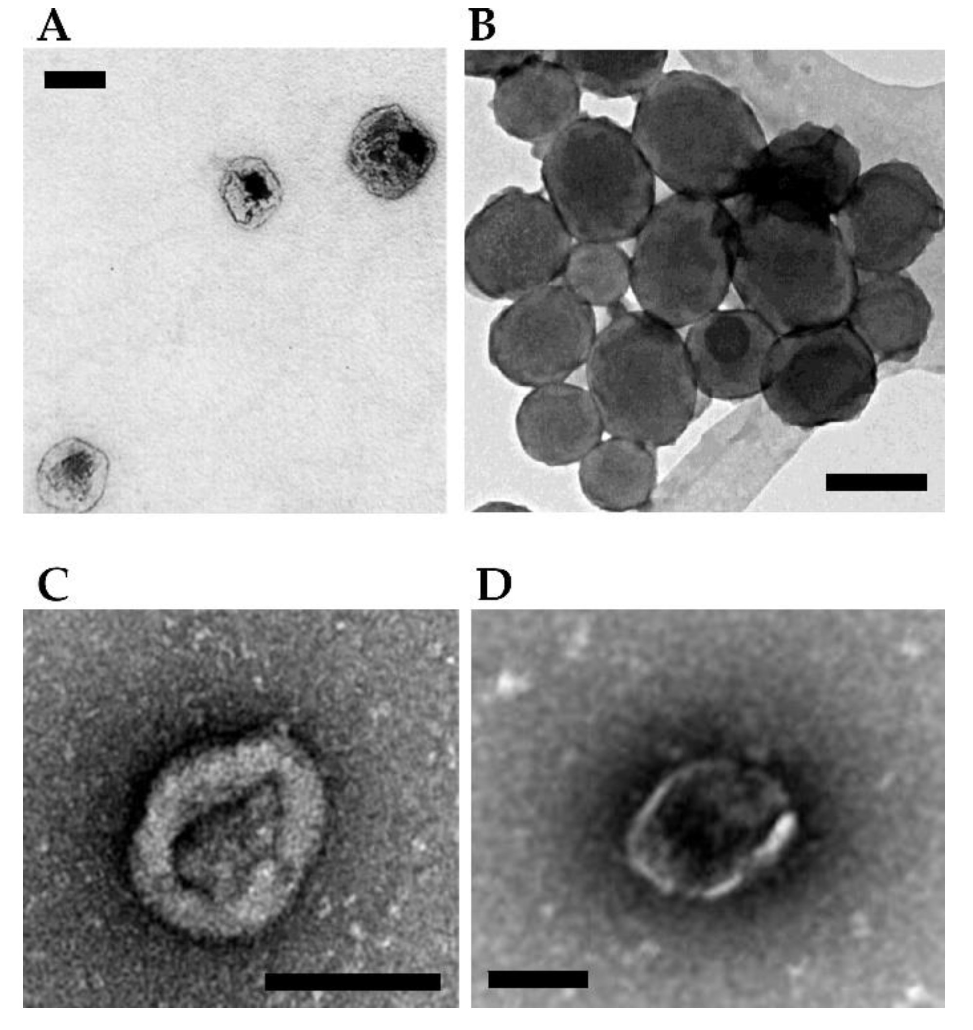 Toxins 14 00579 g003
