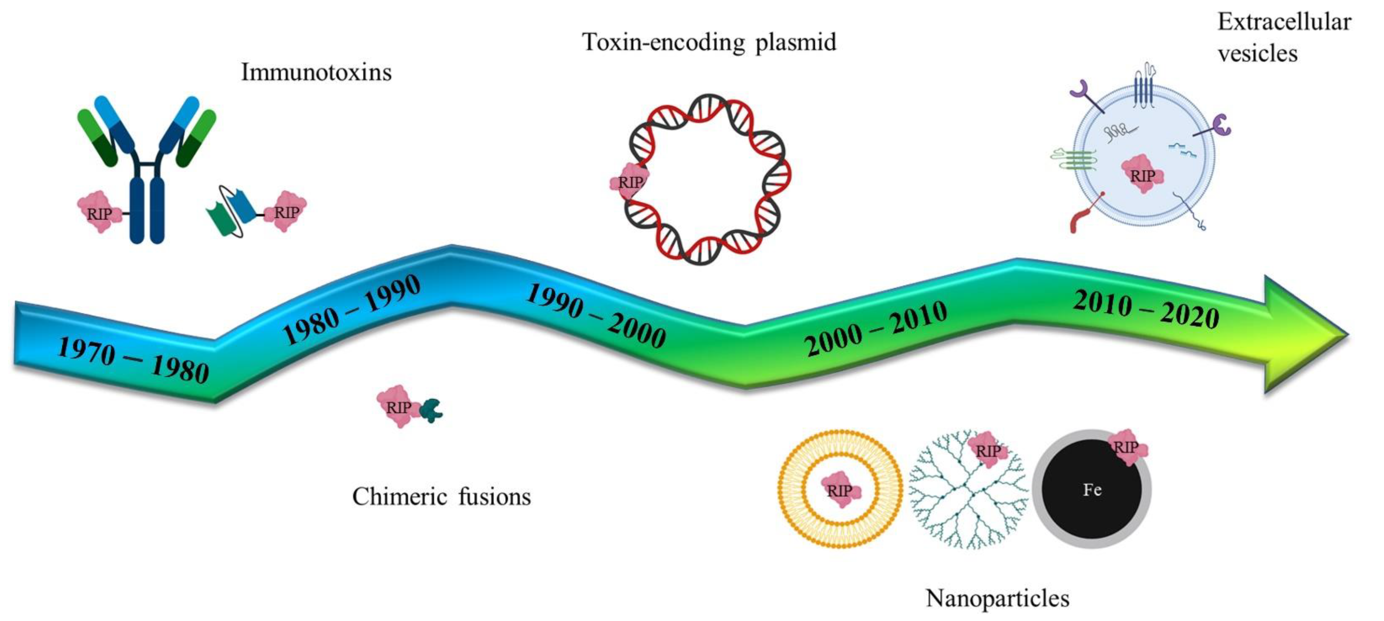 Toxins 14 00579 g004