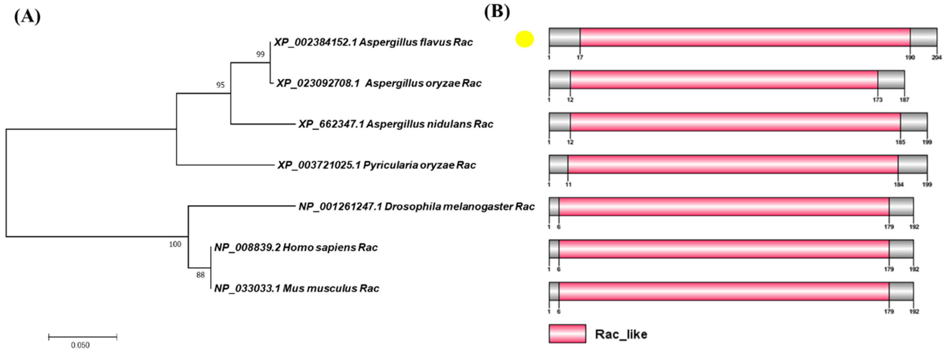 Toxins 14 00581 g001