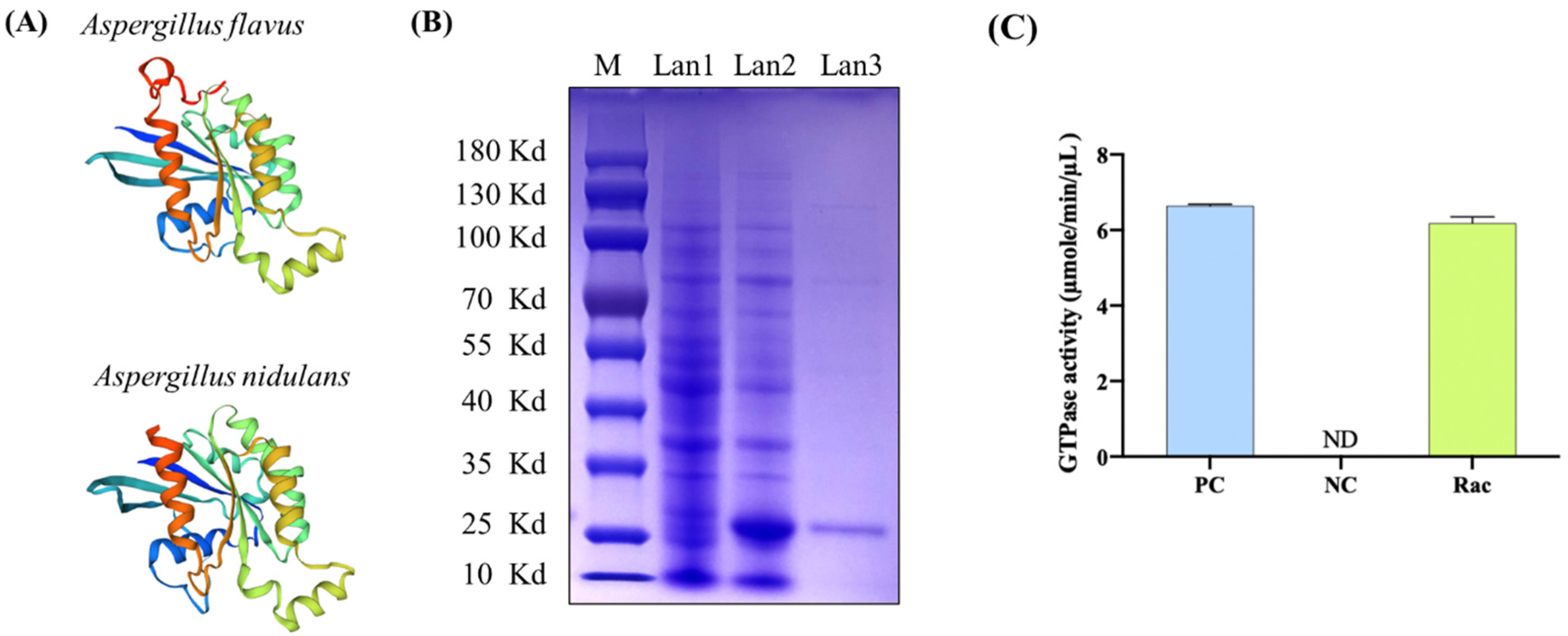 Toxins 14 00581 g002