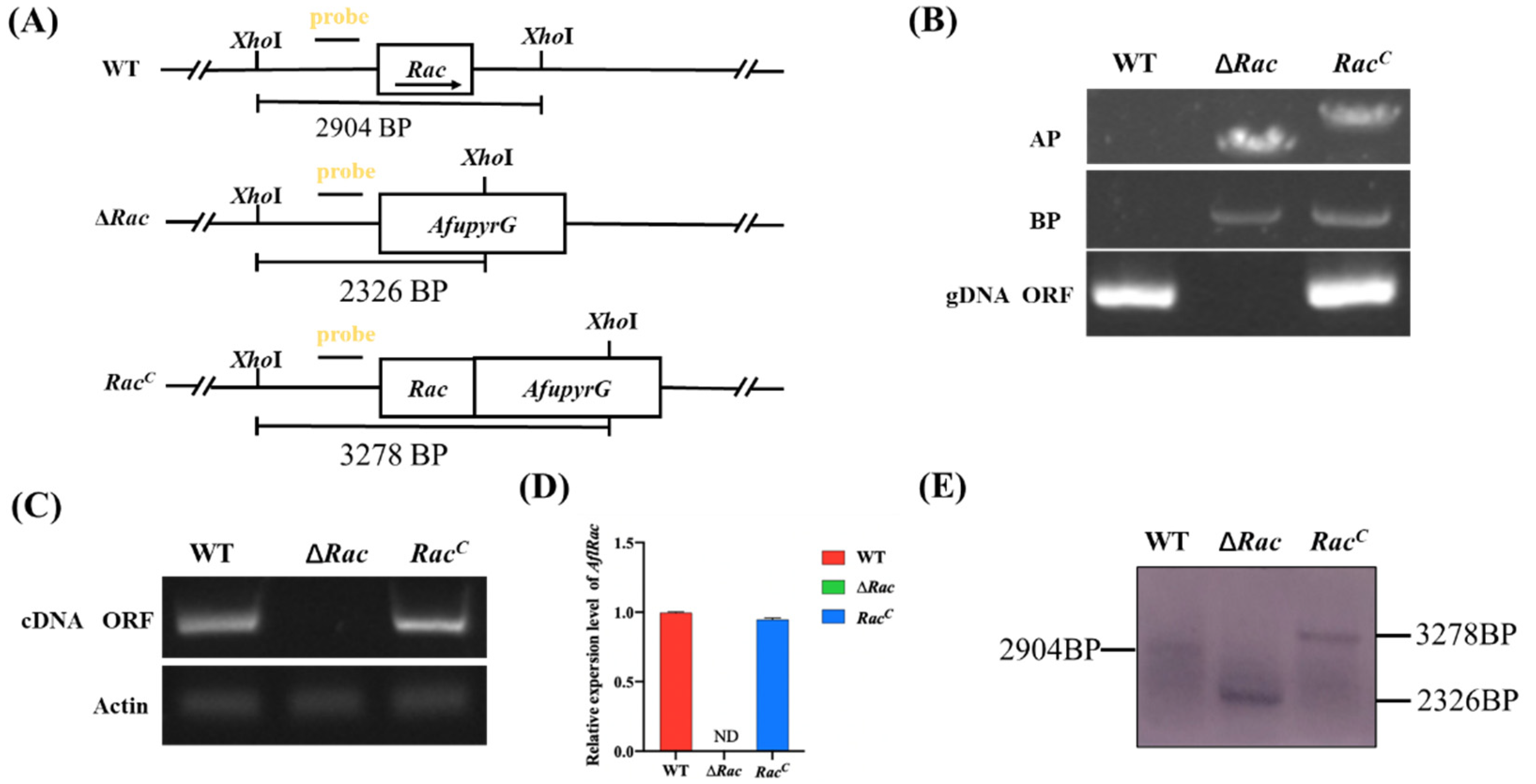 Toxins 14 00581 g003