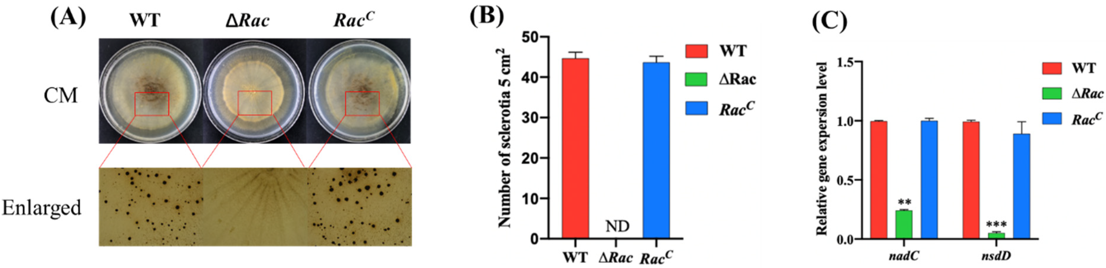 Toxins 14 00581 g005