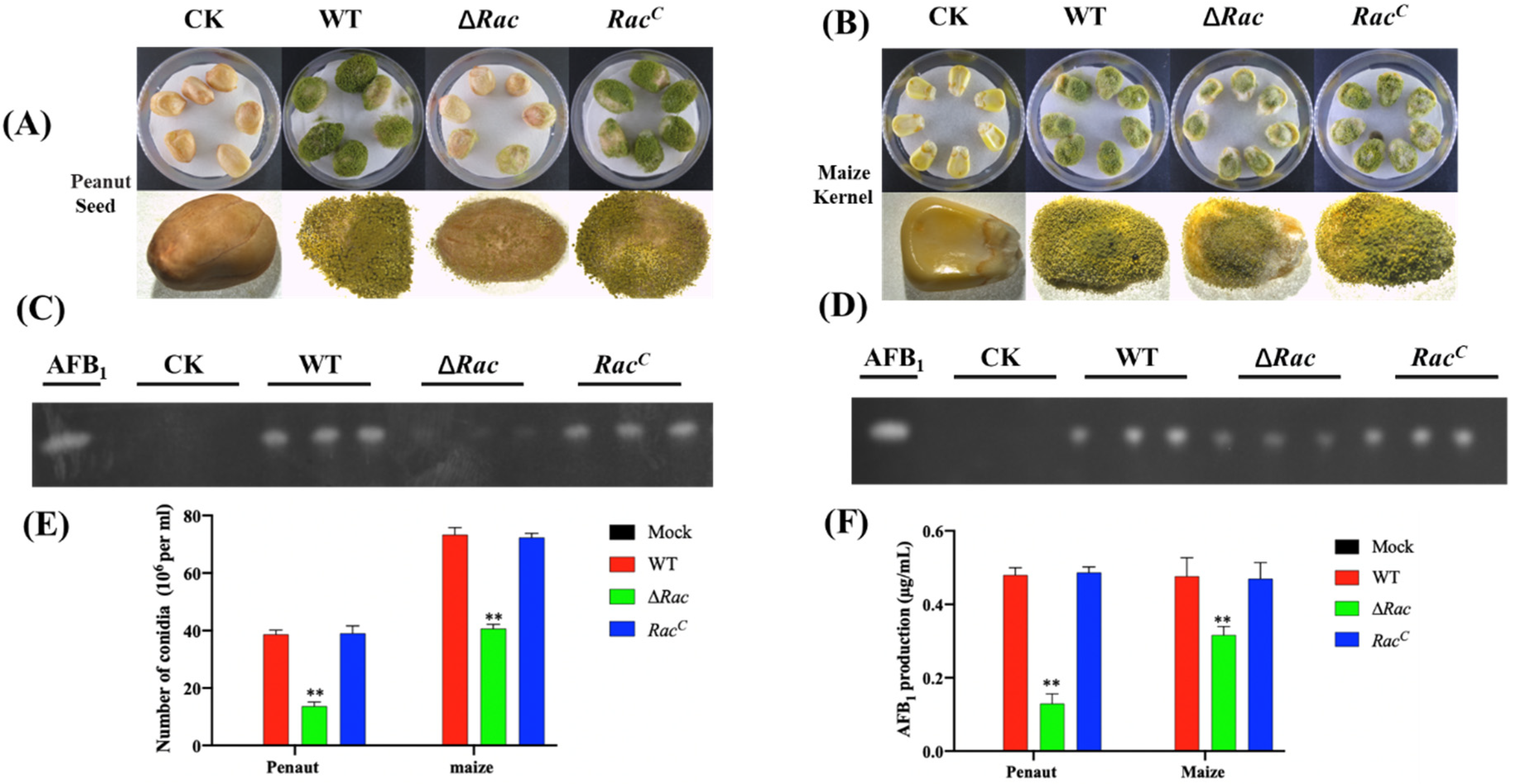 Toxins 14 00581 g007