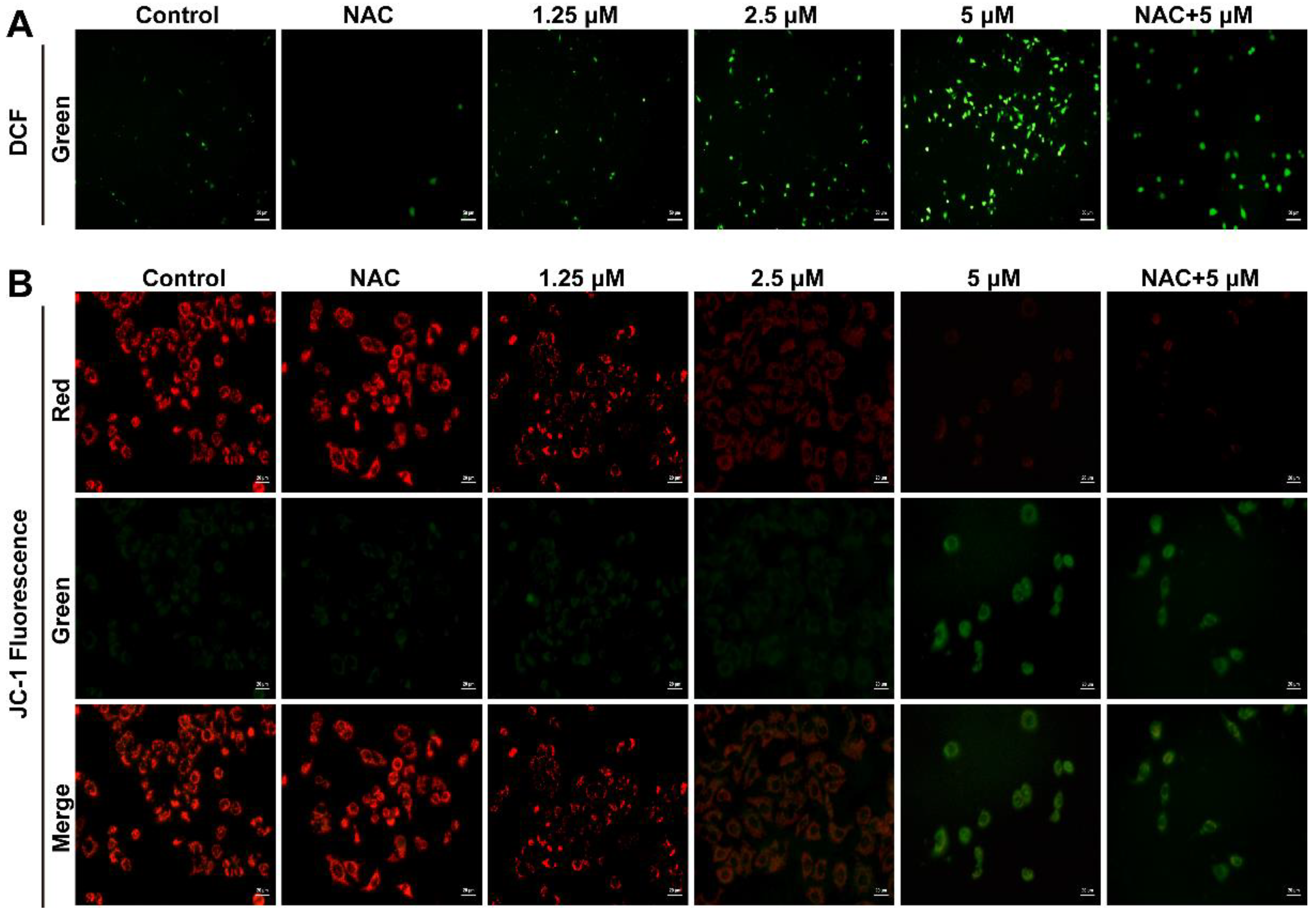 Toxins 14 00590 g003