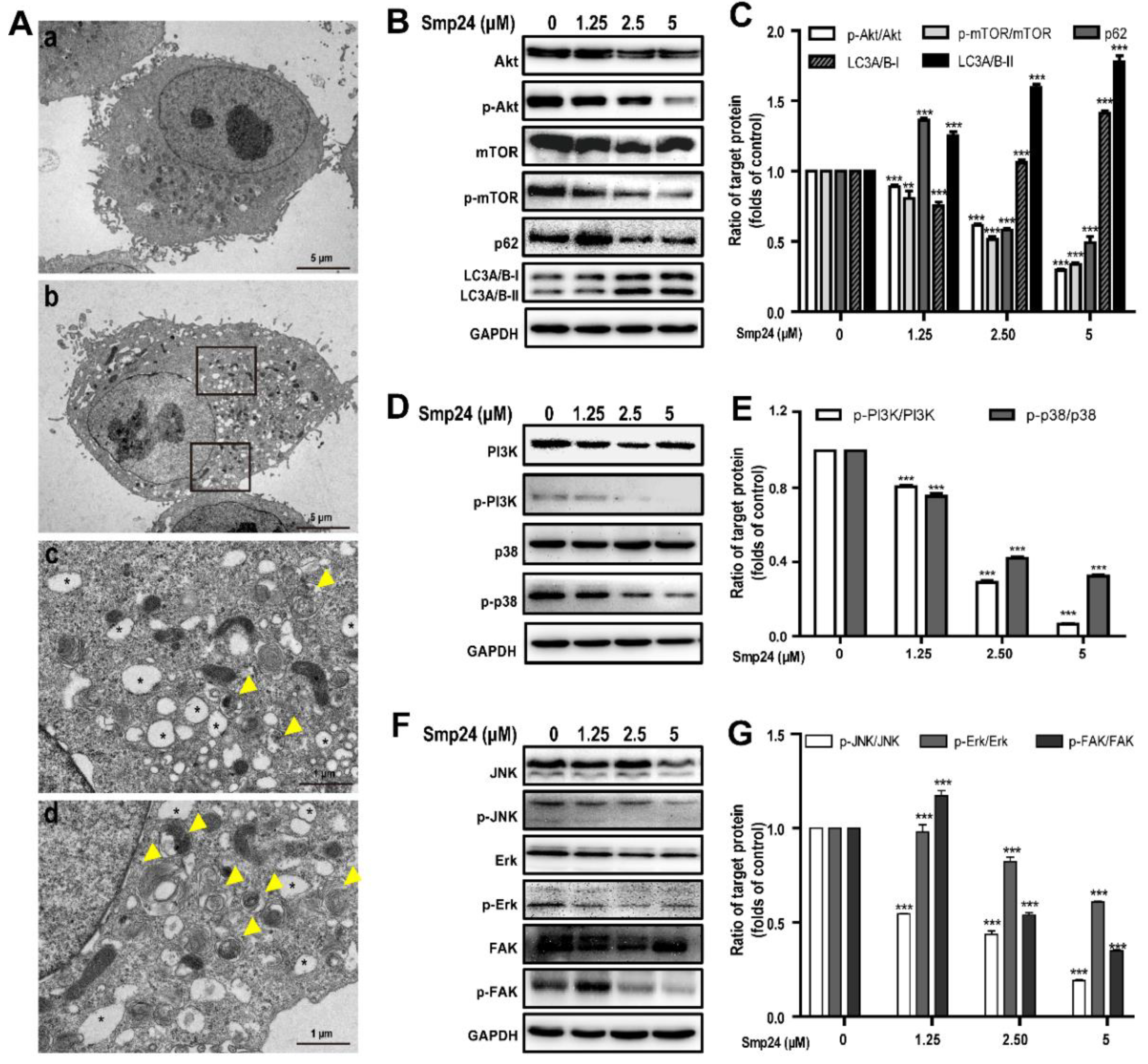 Toxins 14 00590 g006